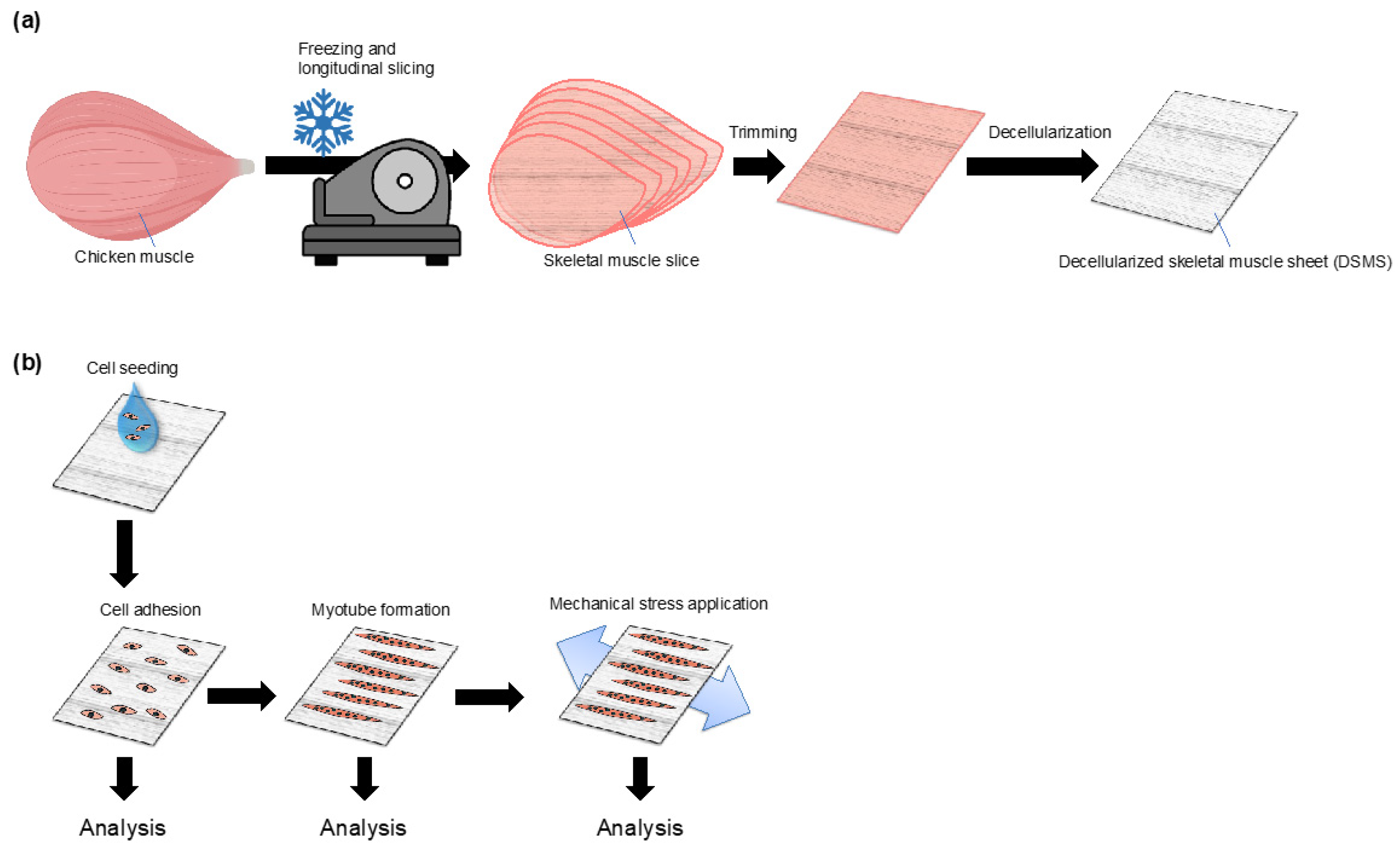 Bioengineering 09 00309 g001