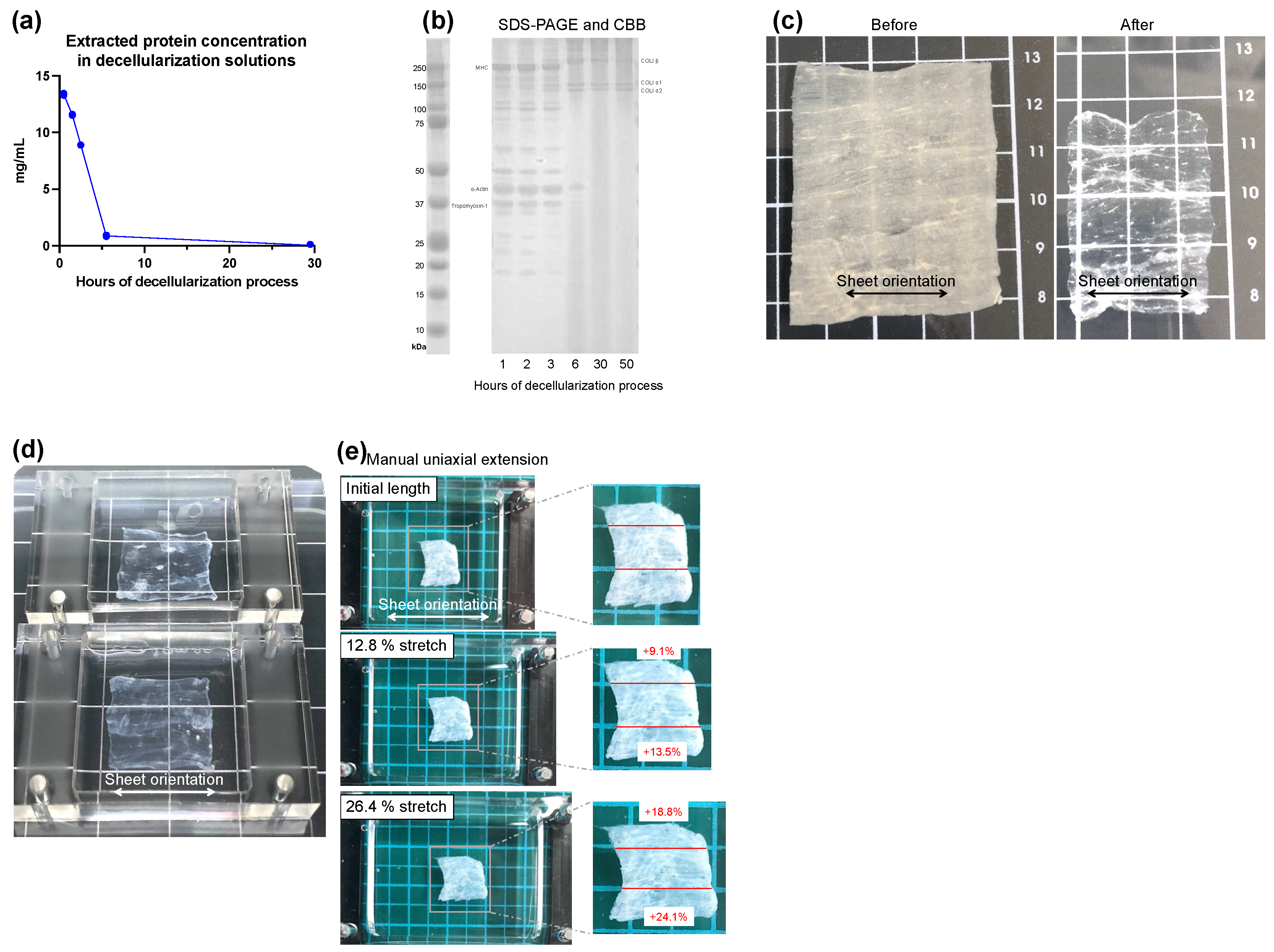 Bioengineering 09 00309 g002