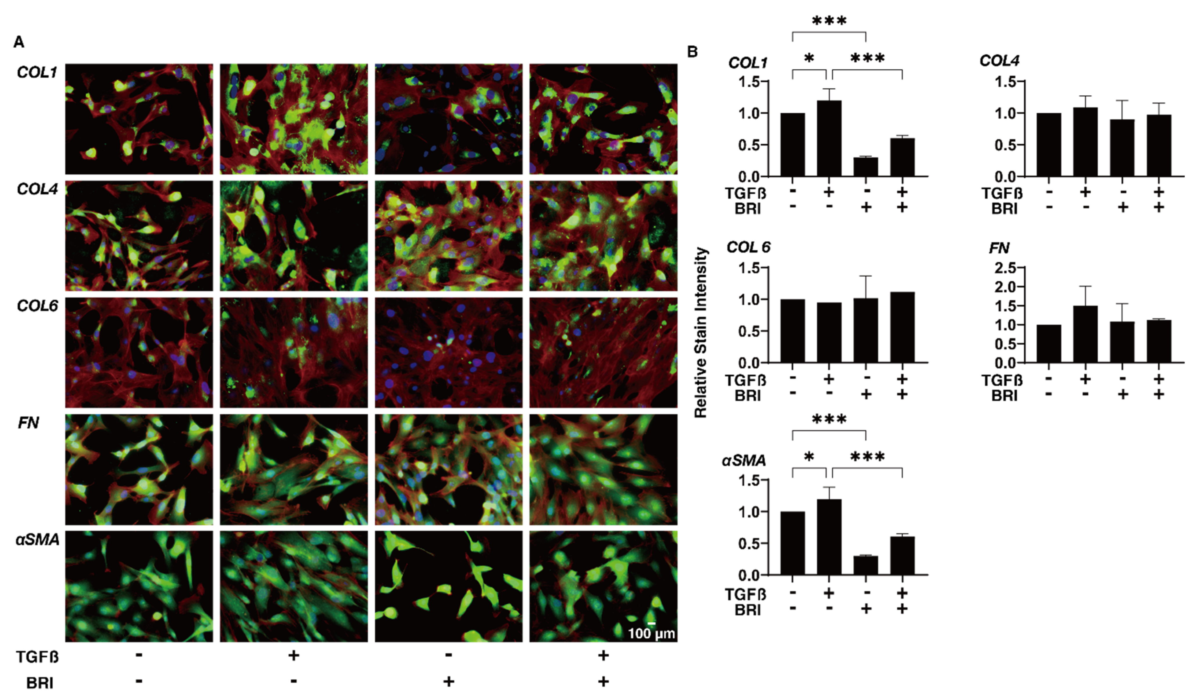 Bioengineering 09 00310 g005