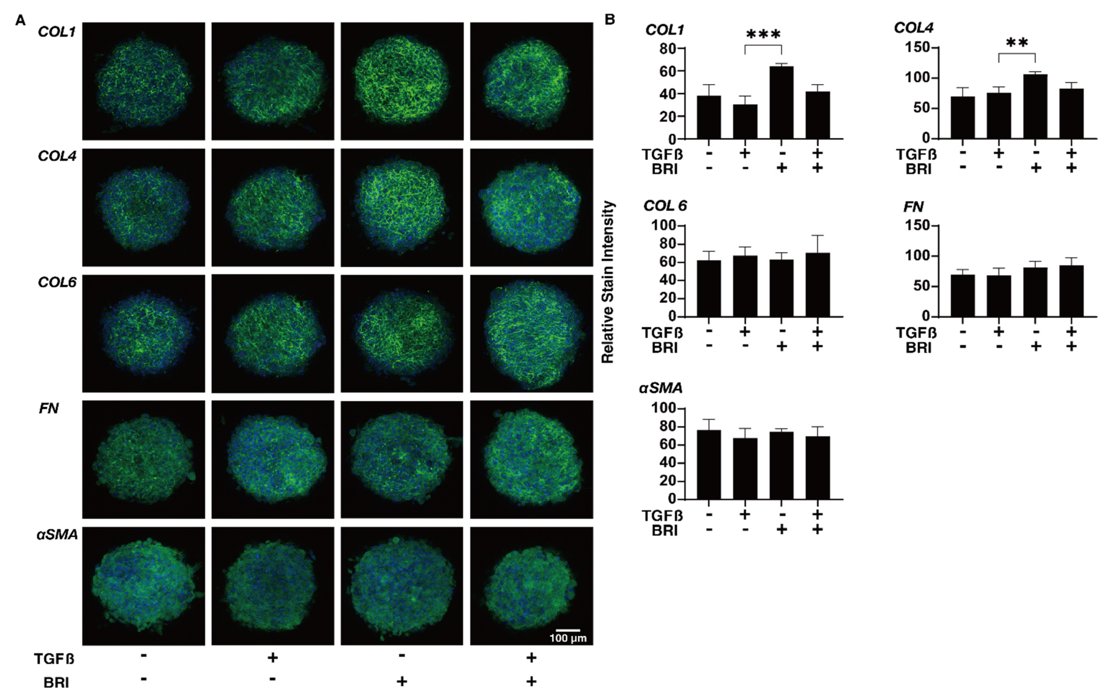 Bioengineering 09 00310 g006
