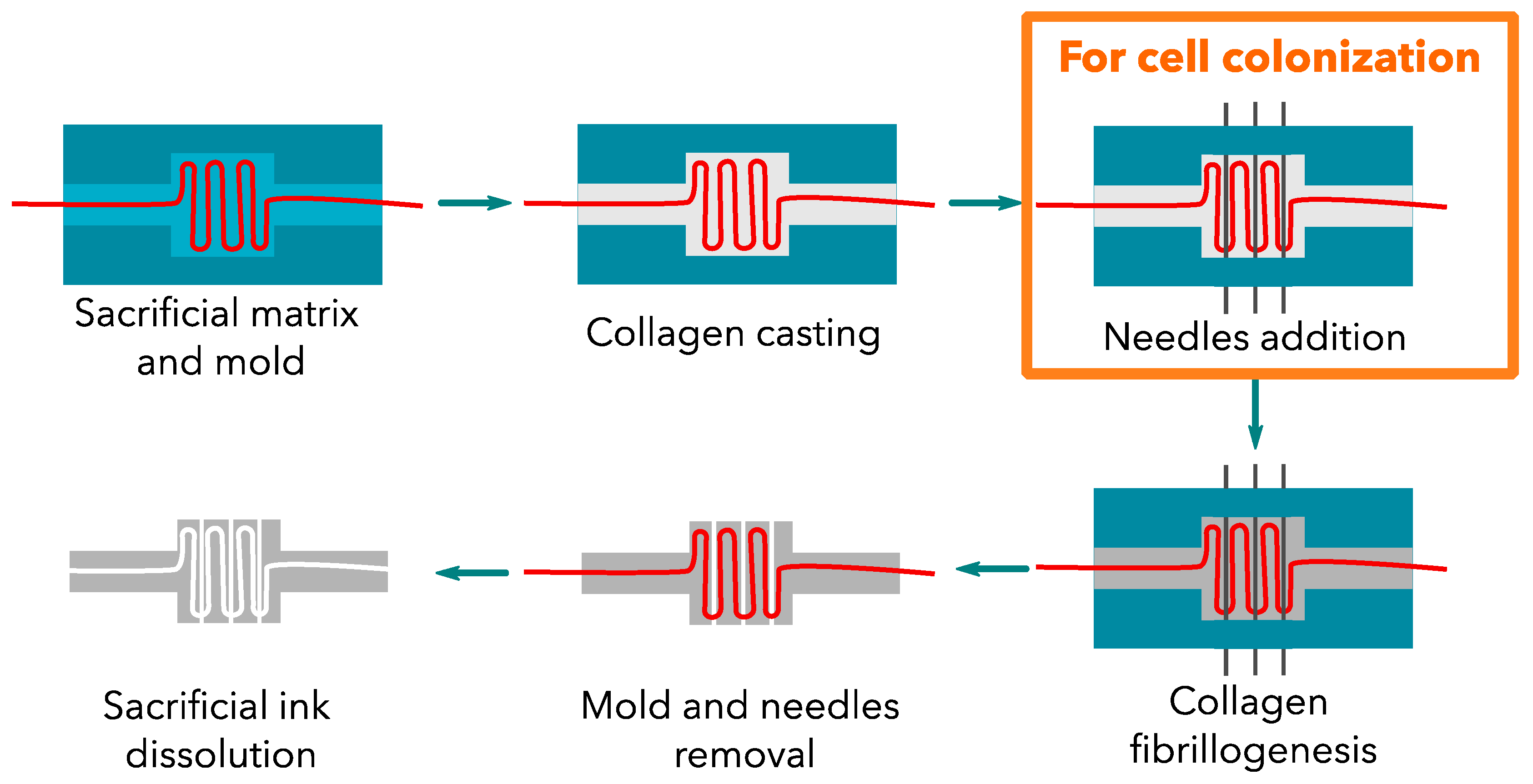 Bioengineering 09 00313 g002