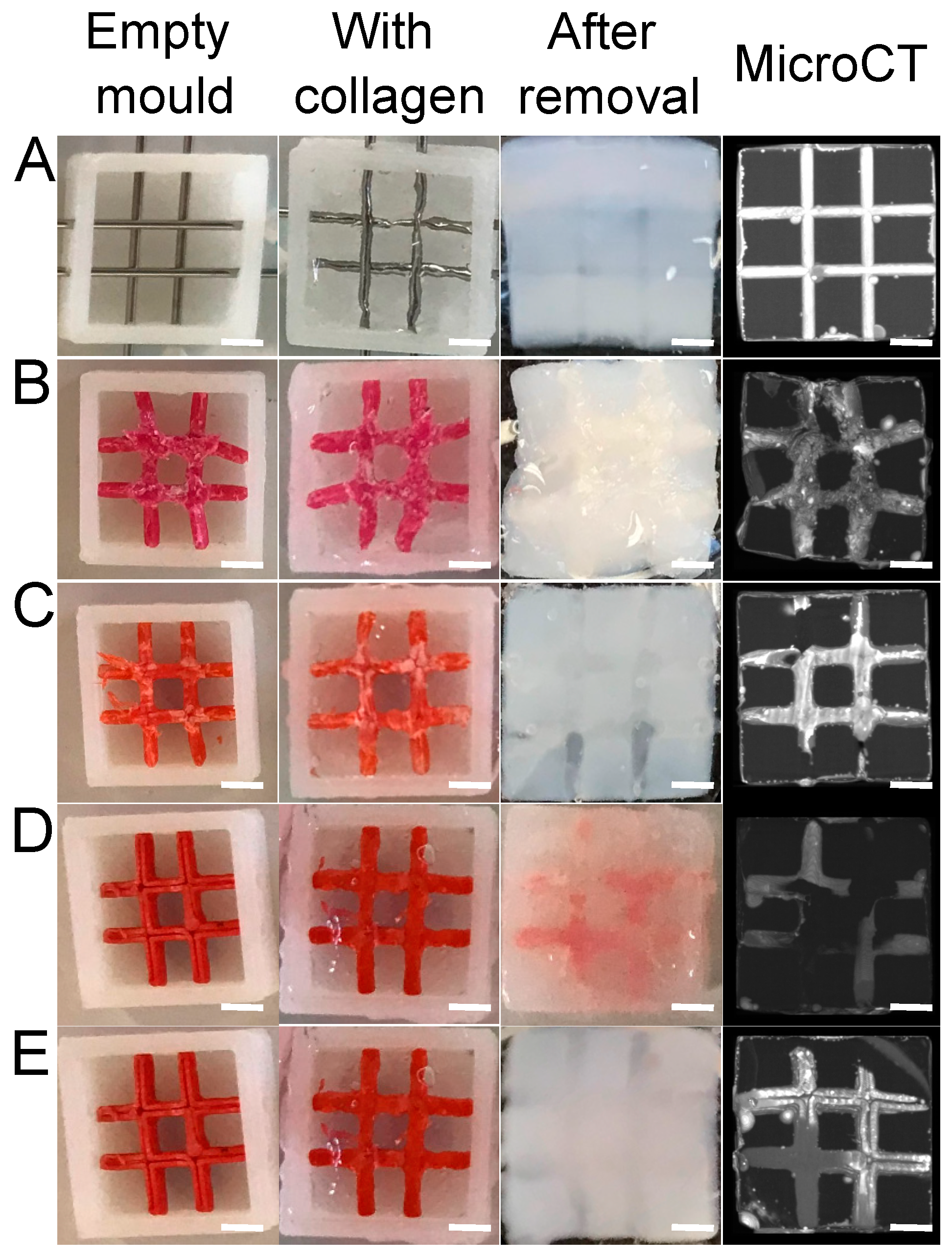 Bioengineering 09 00313 g003