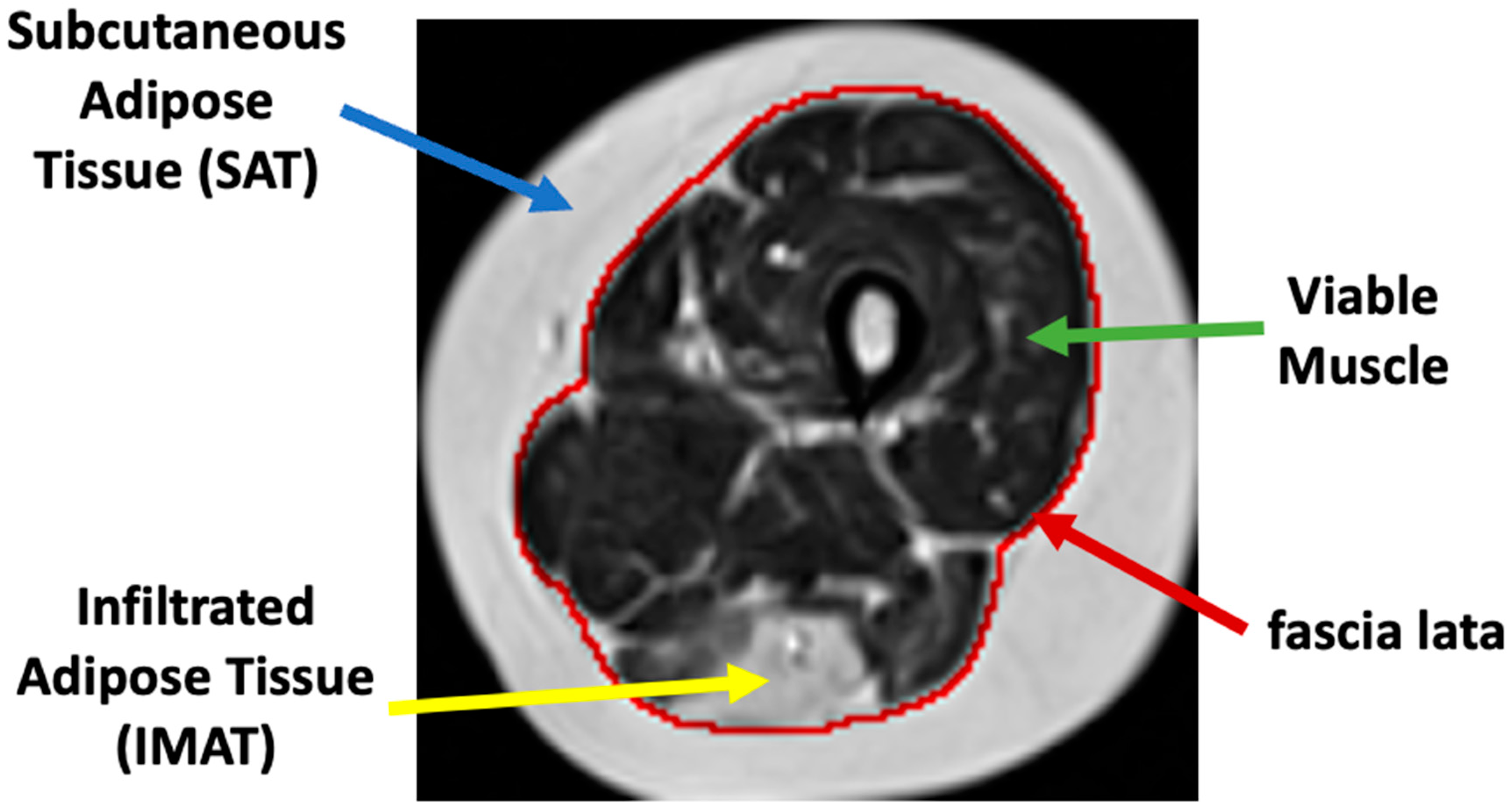 Bioengineering 09 00315 g001 550
