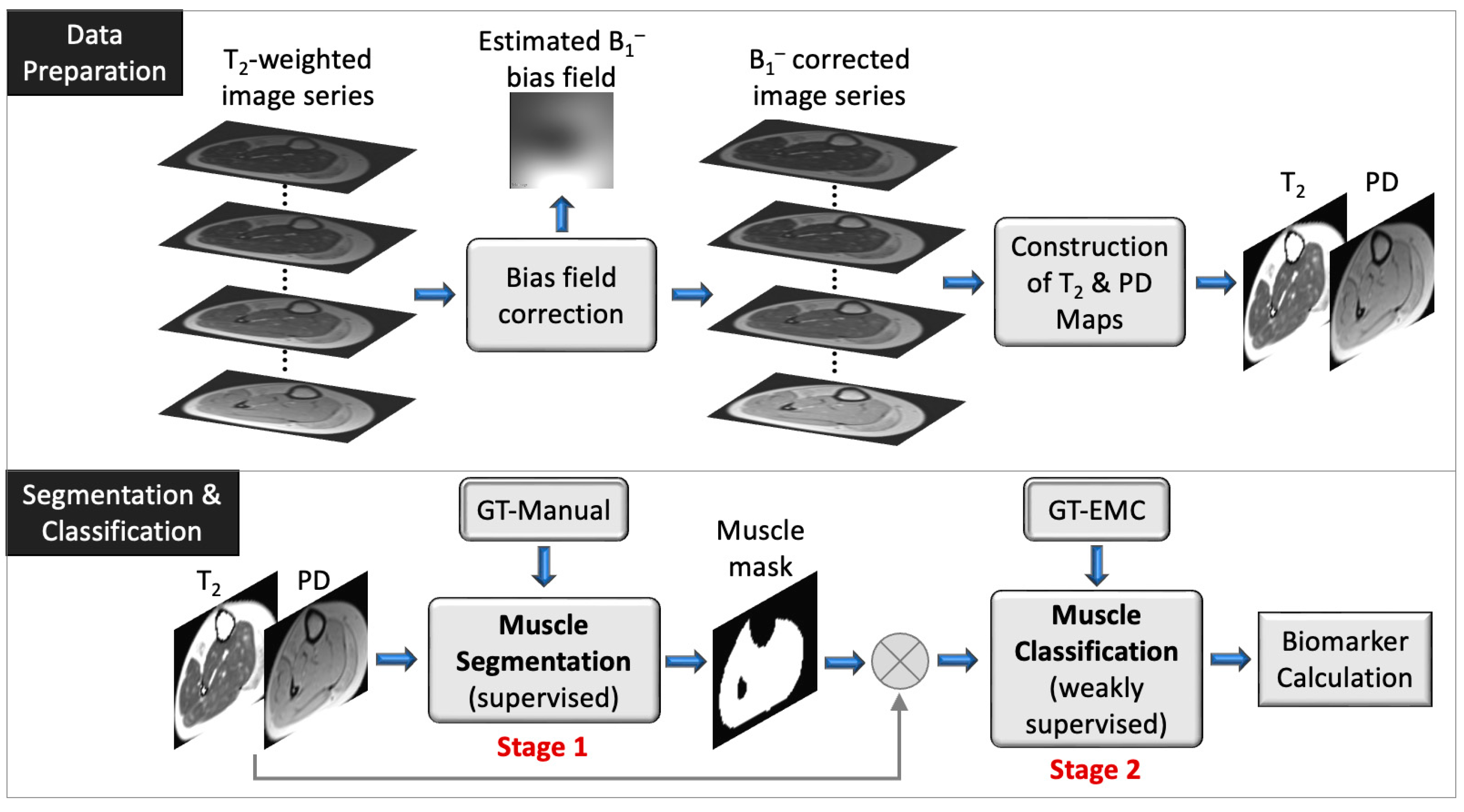 Bioengineering 09 00315 g002 550