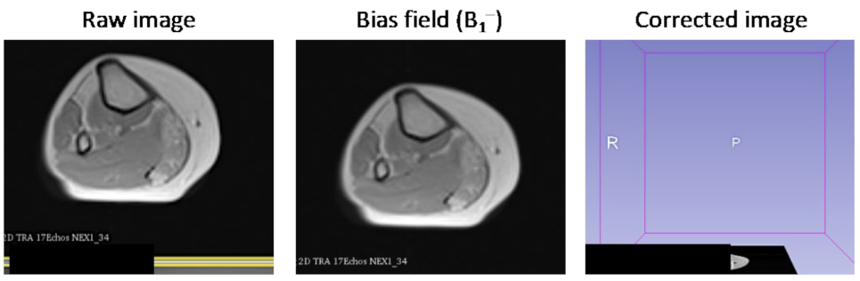 Bioengineering 09 00315 g003 550