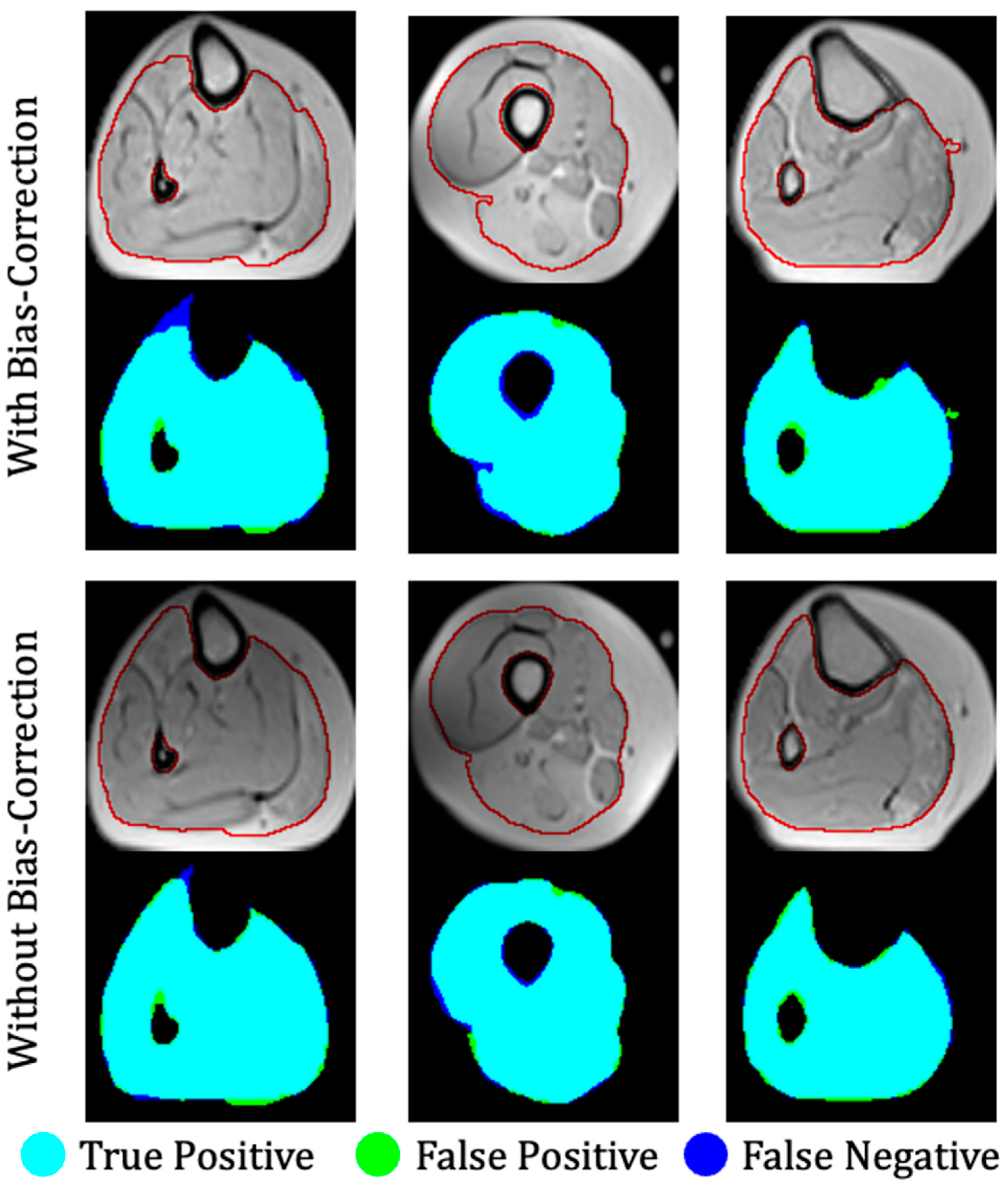 Bioengineering 09 00315 g007 550