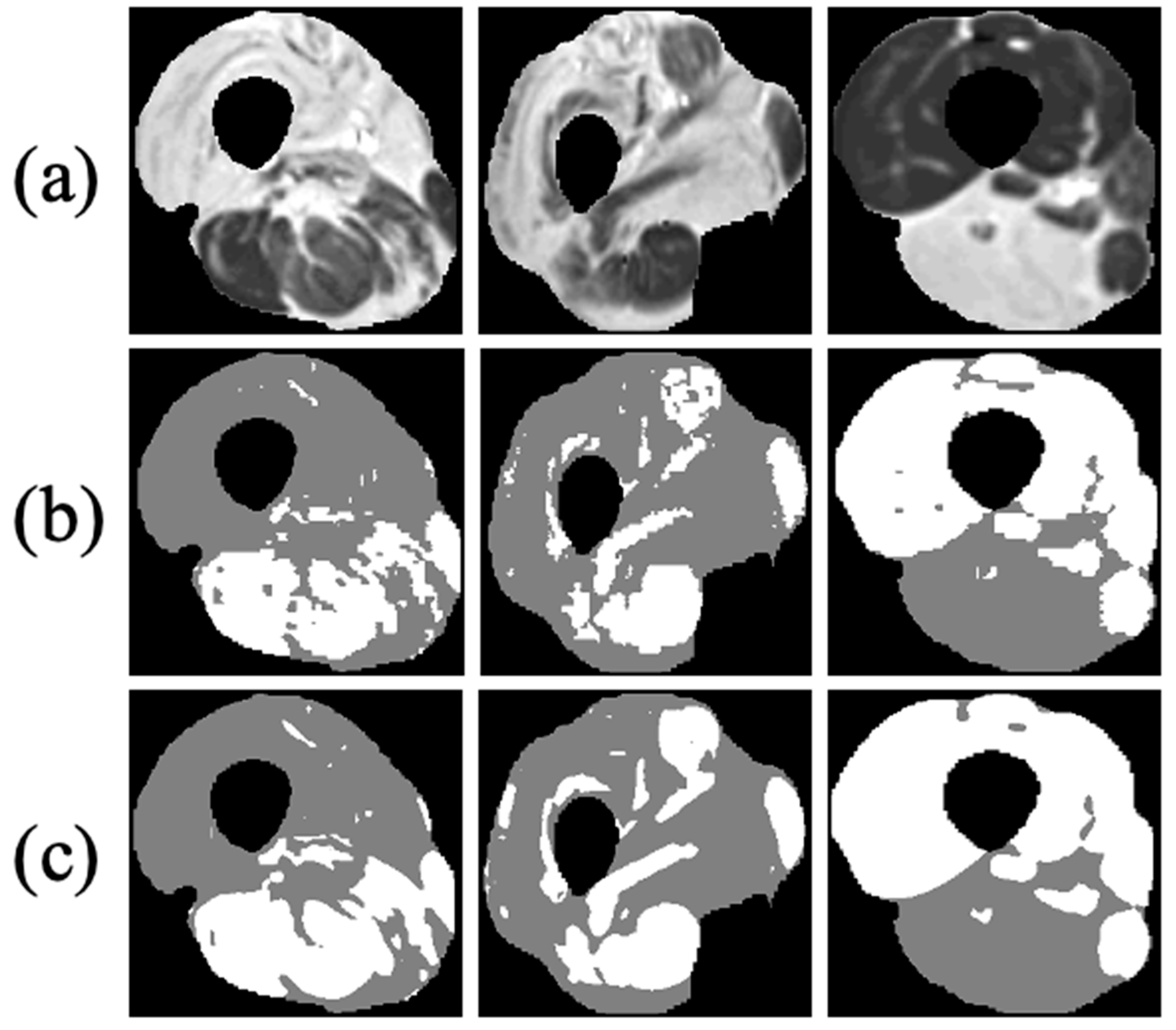Bioengineering 09 00315 g008 550