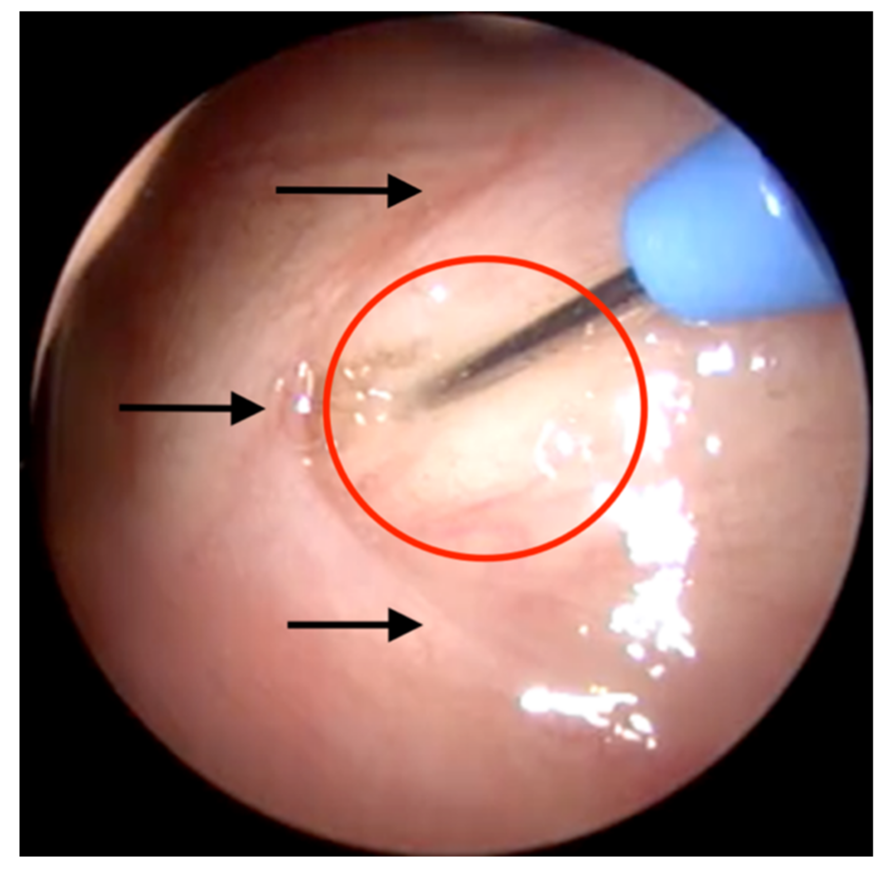 Bioengineering 09 00317 g002 Bioengineering 09 00317 g002