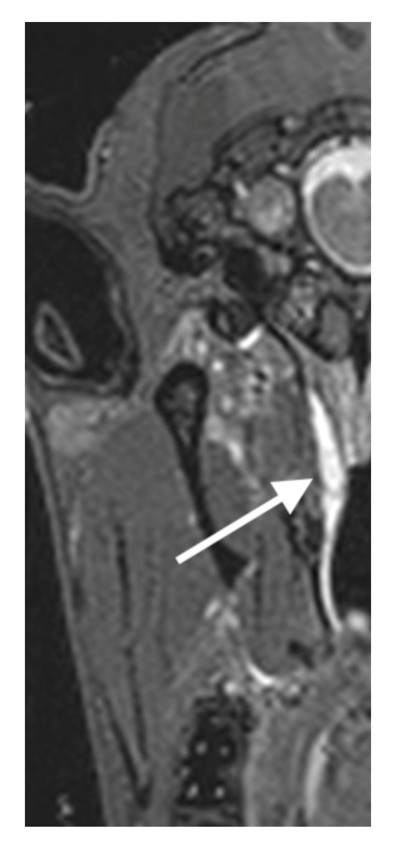 Bioengineering 09 00317 g010 Bioengineering 09 00317 g010