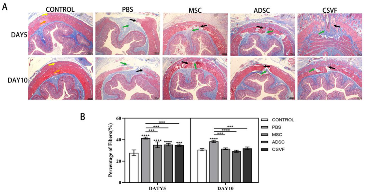 Bioengineering 09 00318 g006 Bioengineering 09 00318 g006