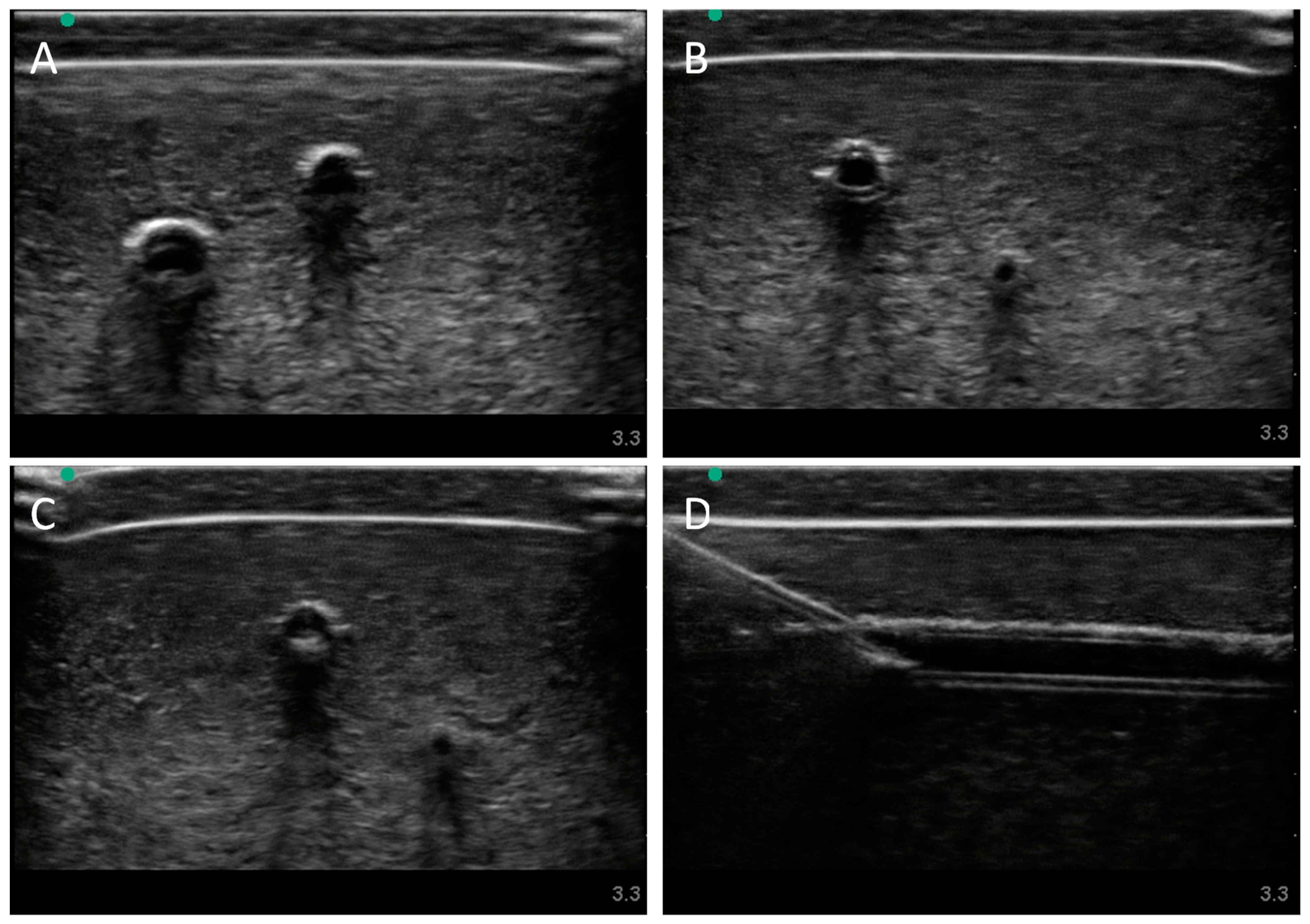 Bioengineering 09 00319 g004