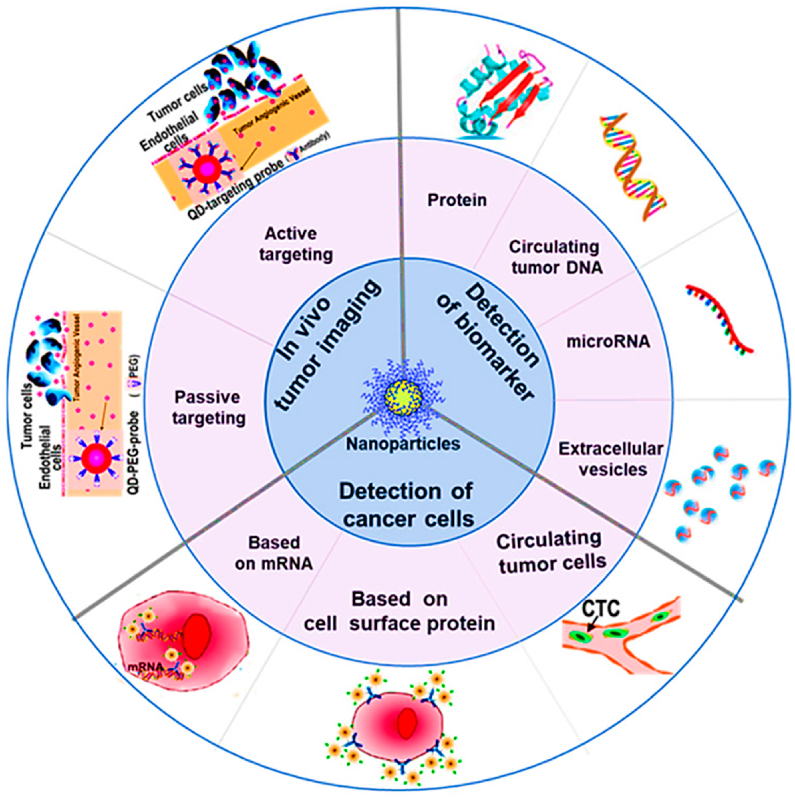 Bioengineering 09 00320 g001