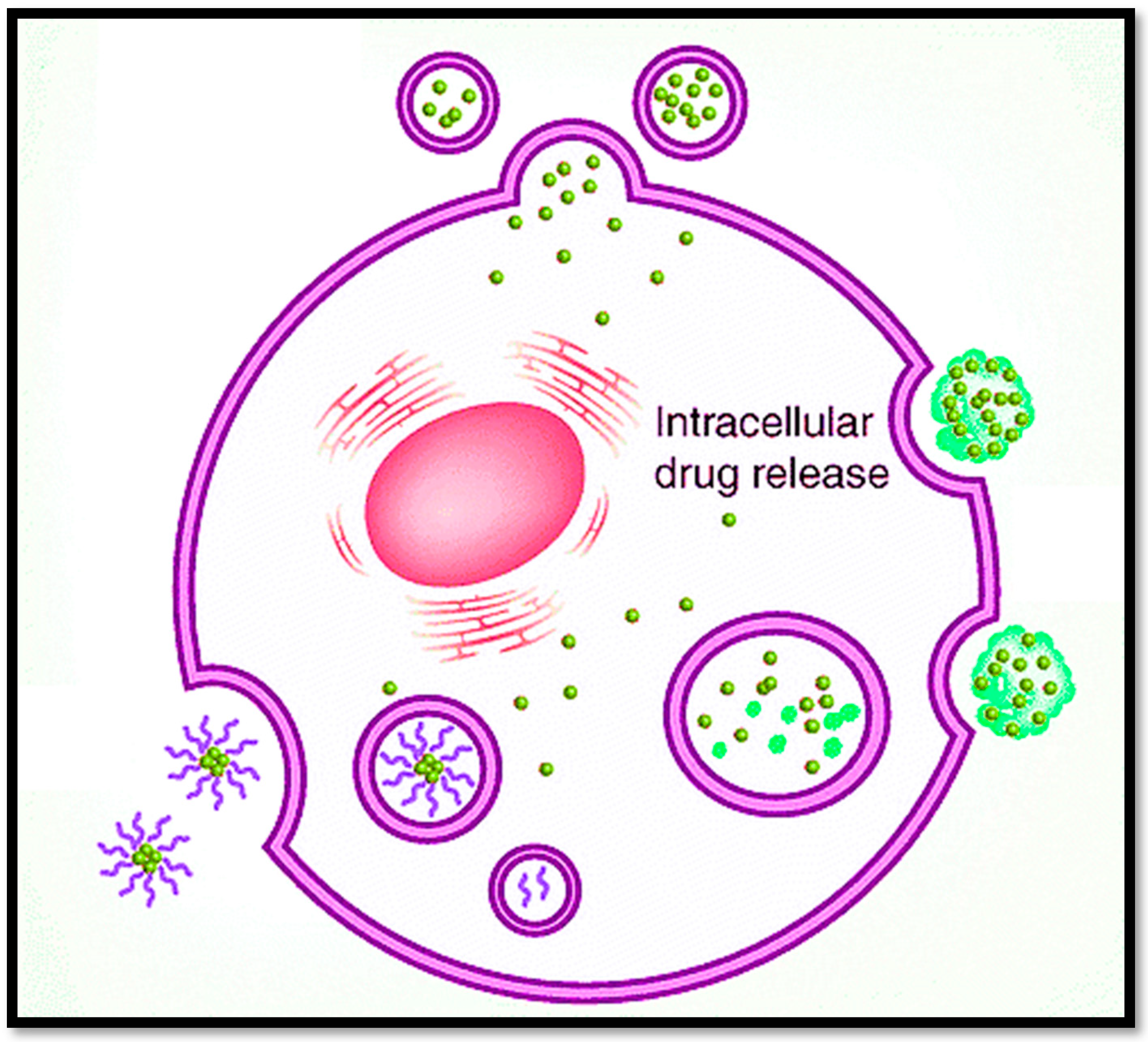 Bioengineering 09 00320 g004