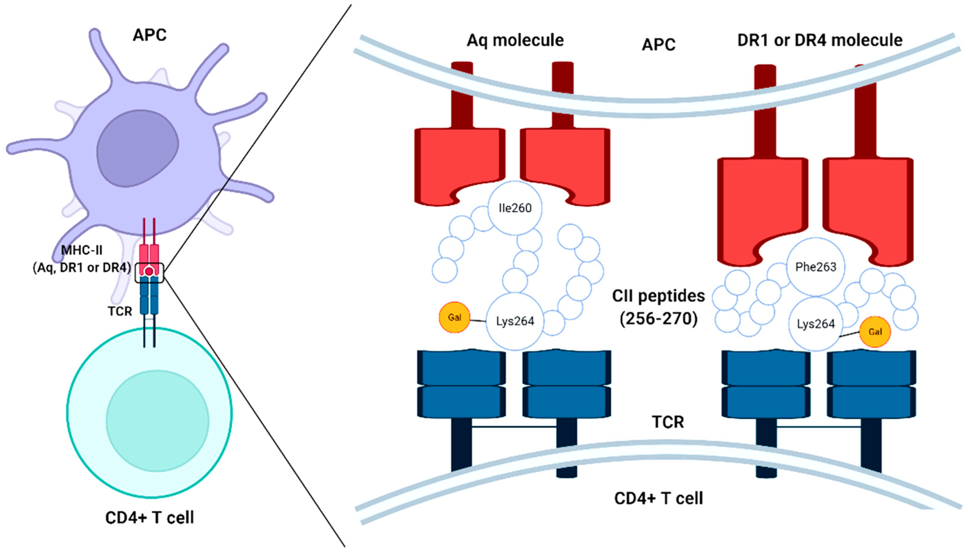 Bioengineering 09 00321 g001 550