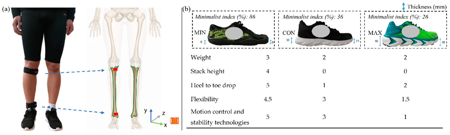 Bioengineering 09 00322 g001 Bioengineering 09 00322 g001