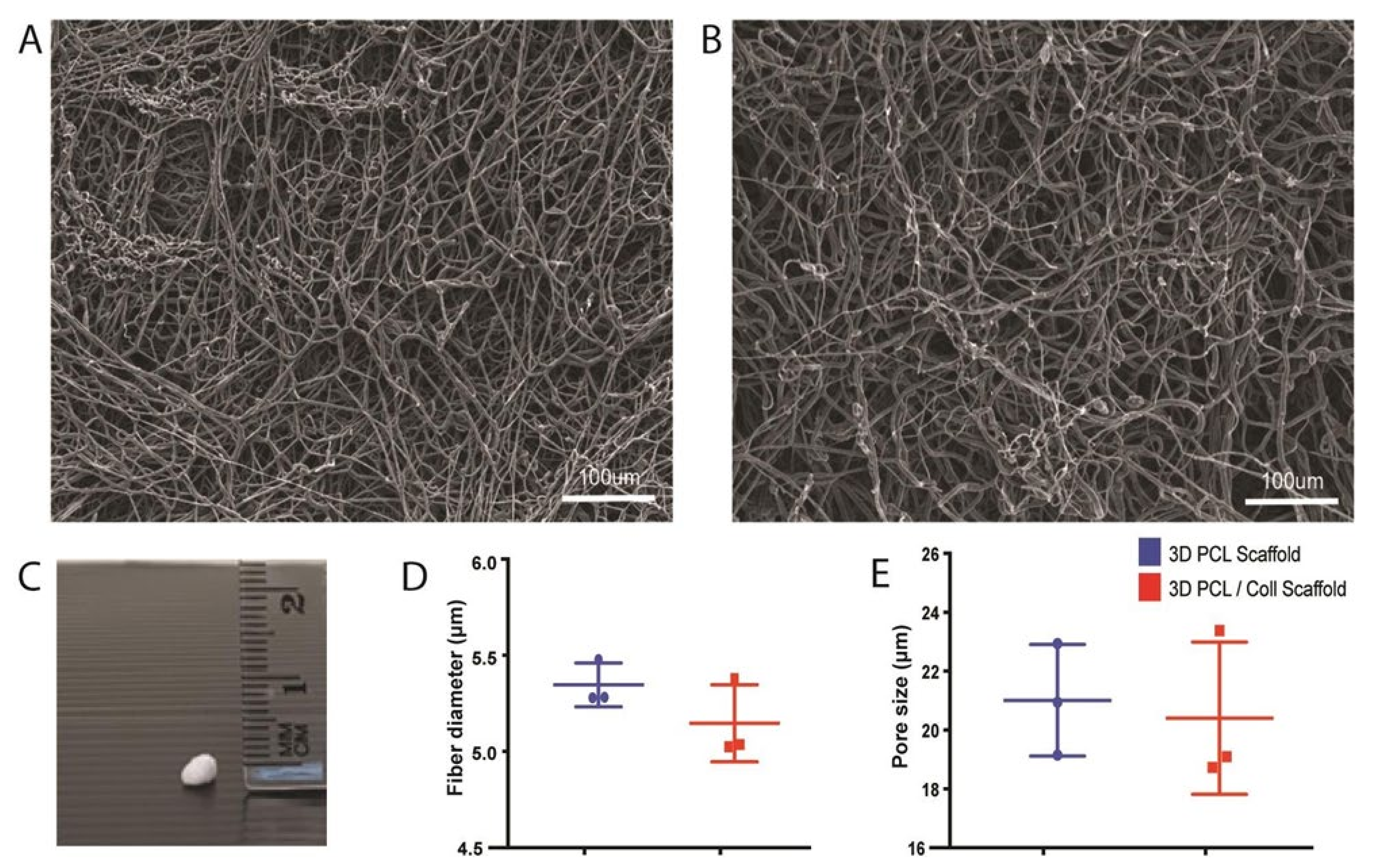 Bioengineering 09 00324 g001 550