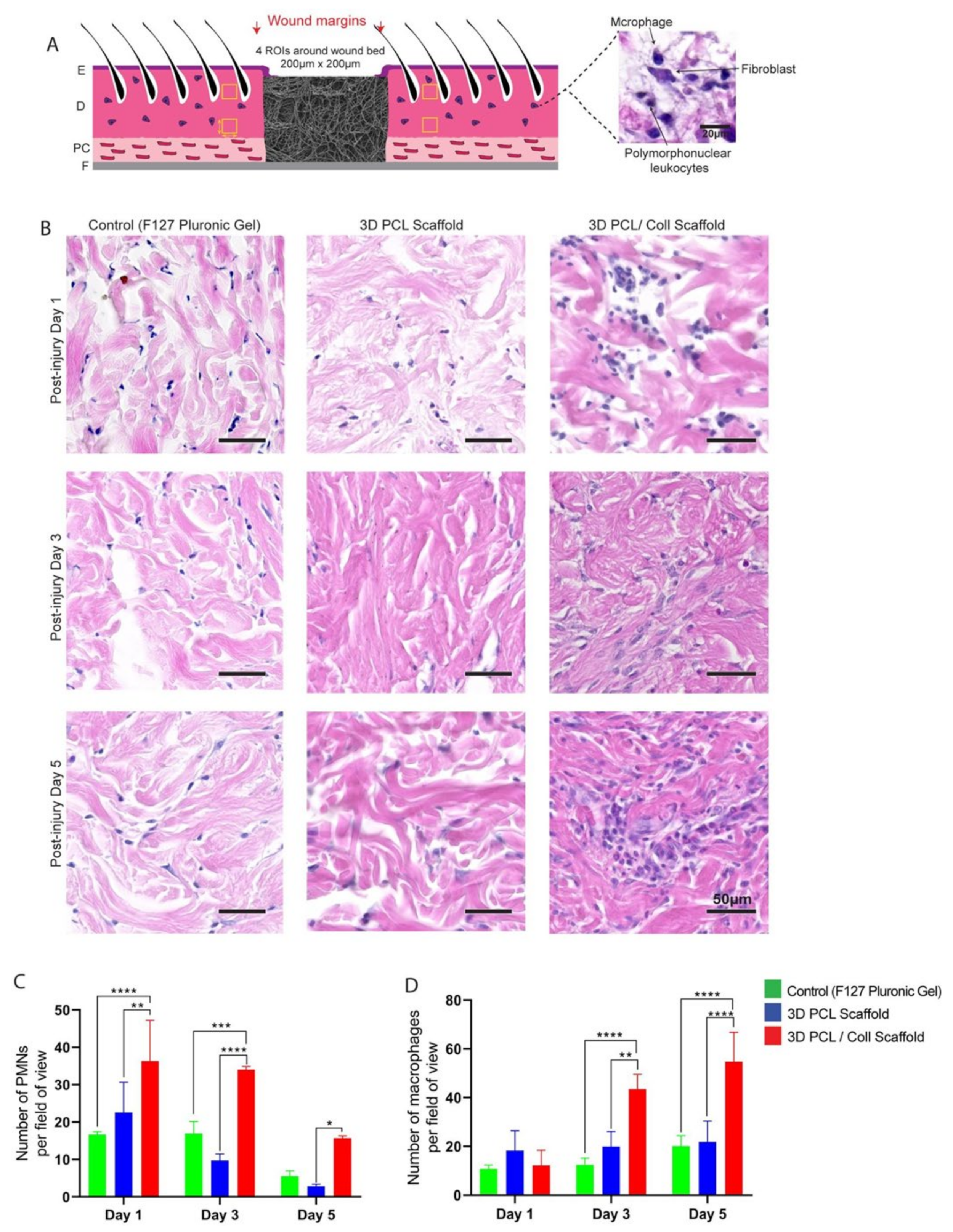 Bioengineering 09 00324 g003 550