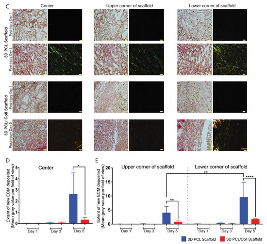 桜 Bio-Mimicking Acellular Wet Electrospun Scaffolds Promote