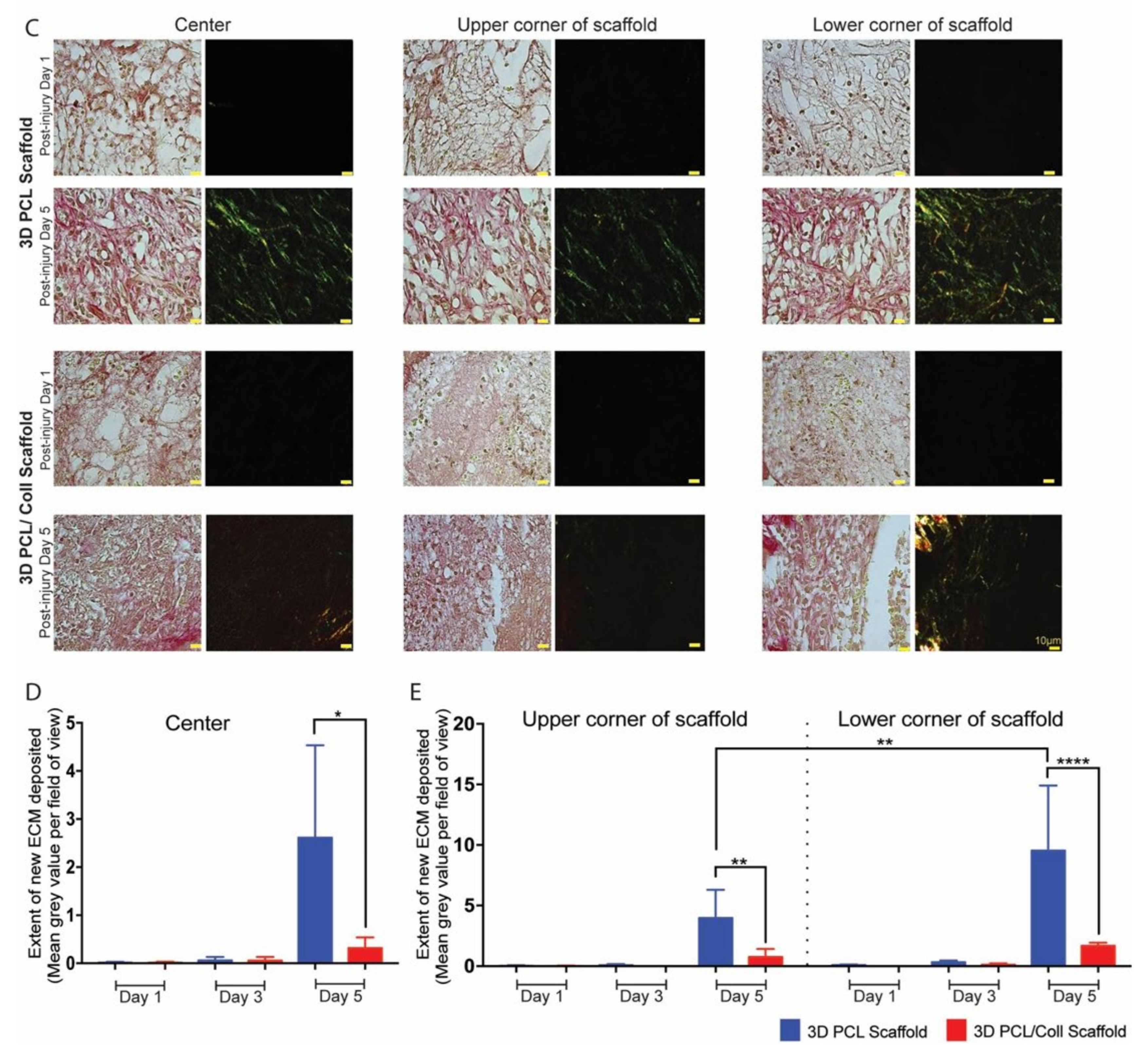 Bioengineering 09 00324 g007b 550