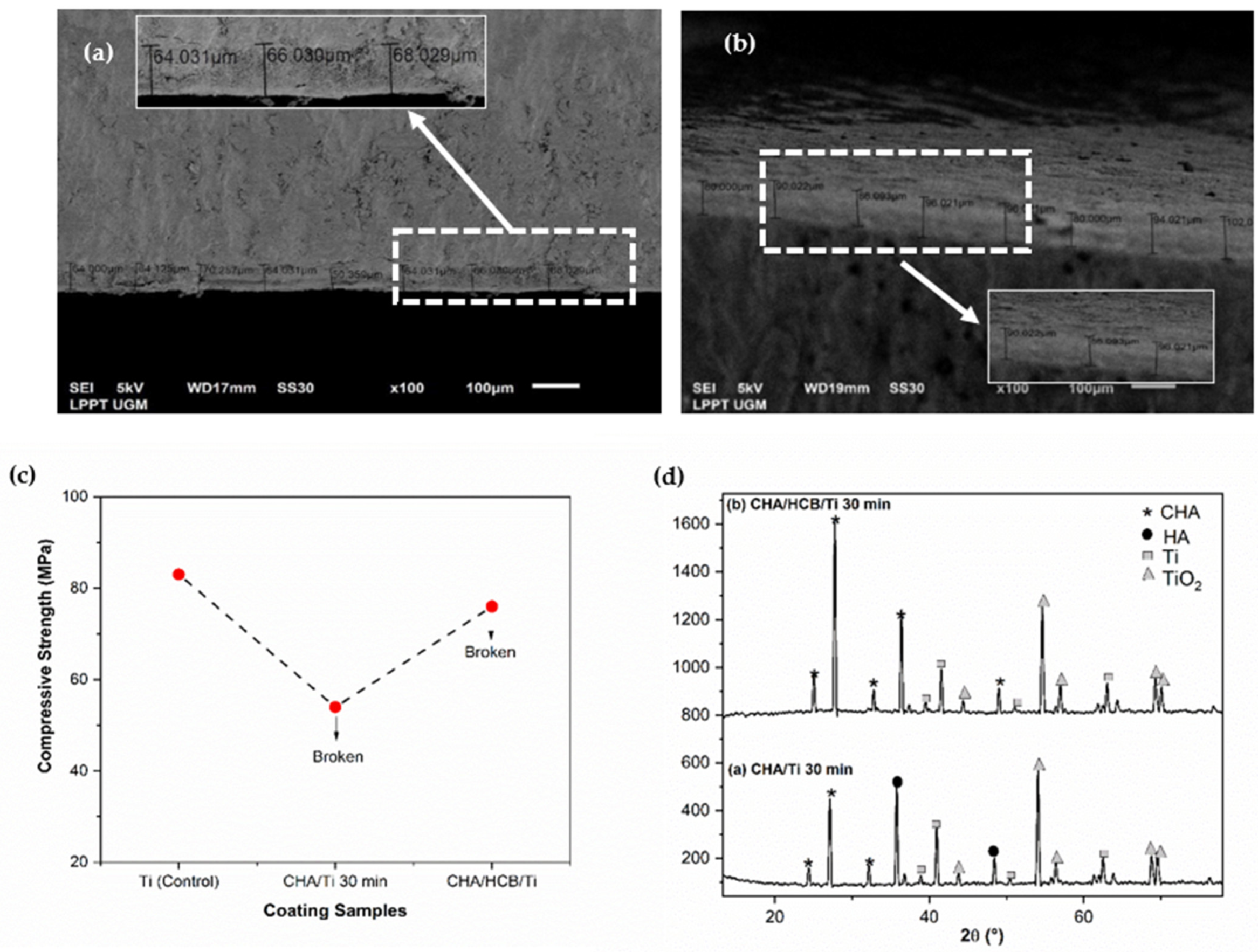 Bioengineering 09 00325 g002