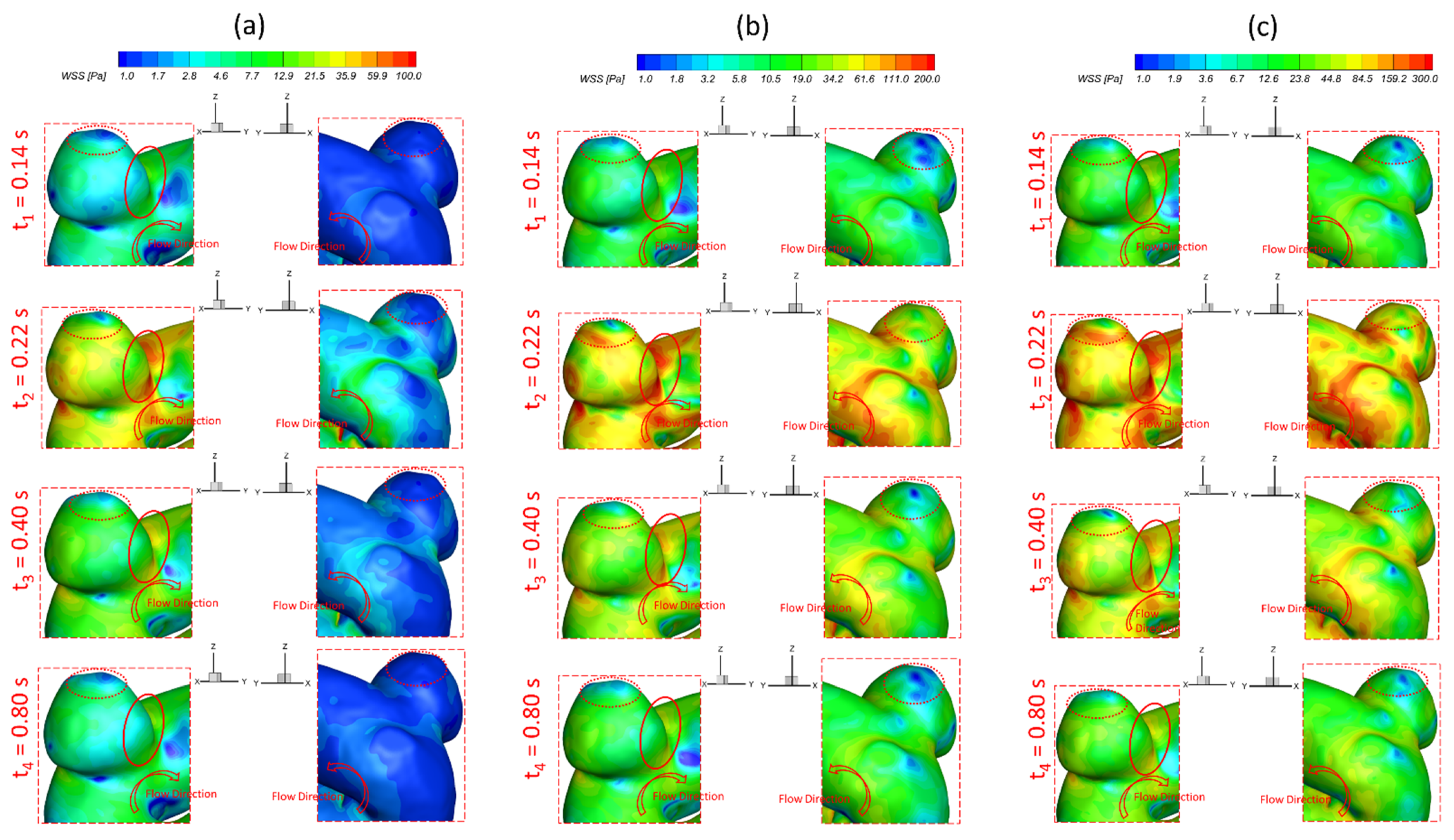 Bioengineering 09 00326 g004