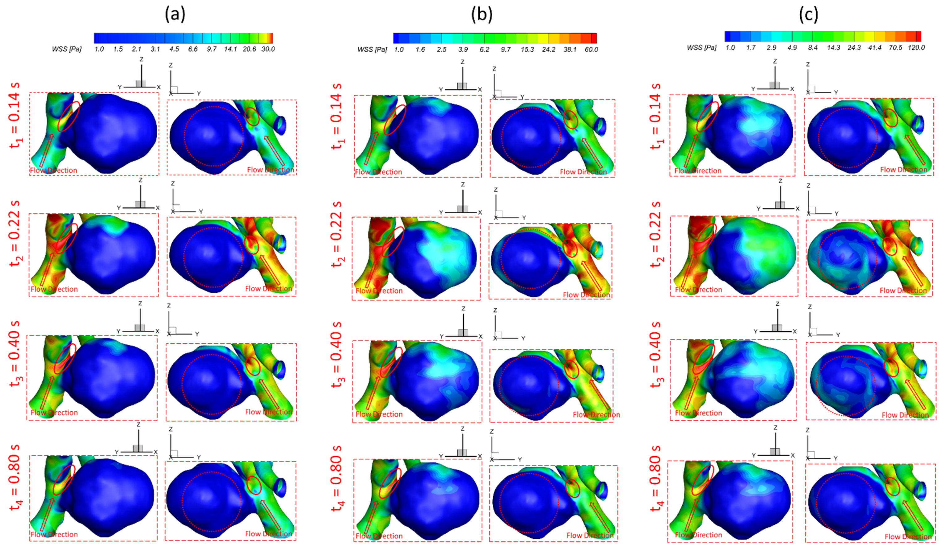 Bioengineering 09 00326 g005