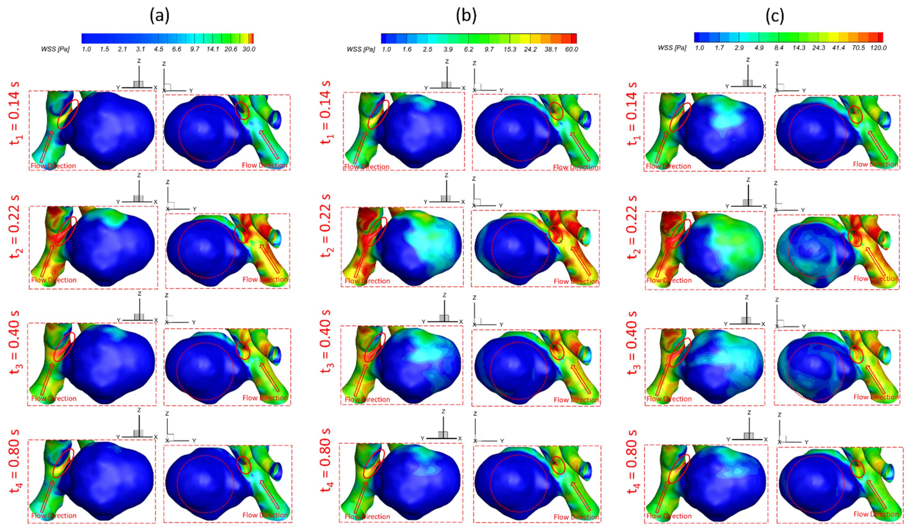 Bioengineering 09 00326 g006