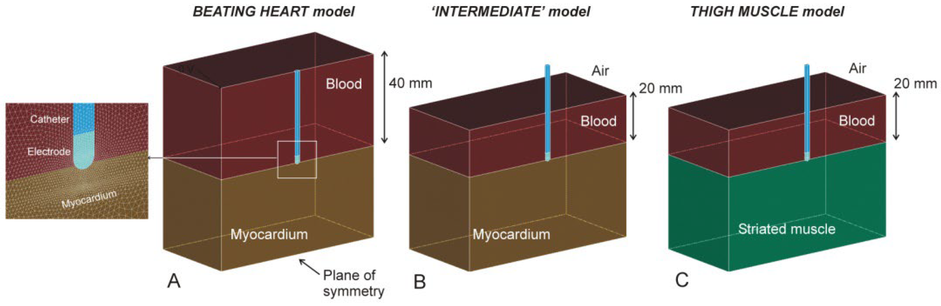 Bioengineering 09 00329 g001
