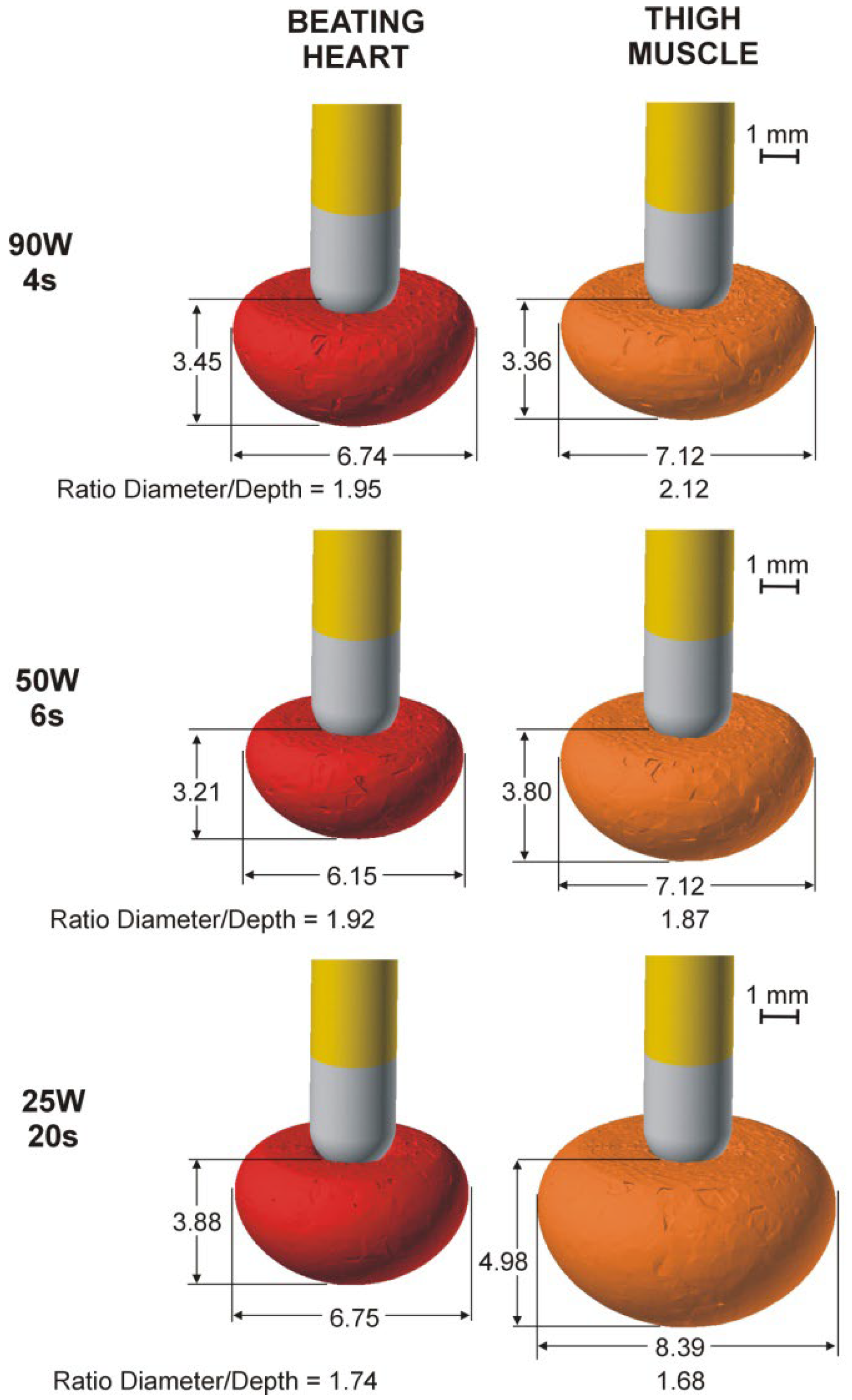 Bioengineering 09 00329 g002