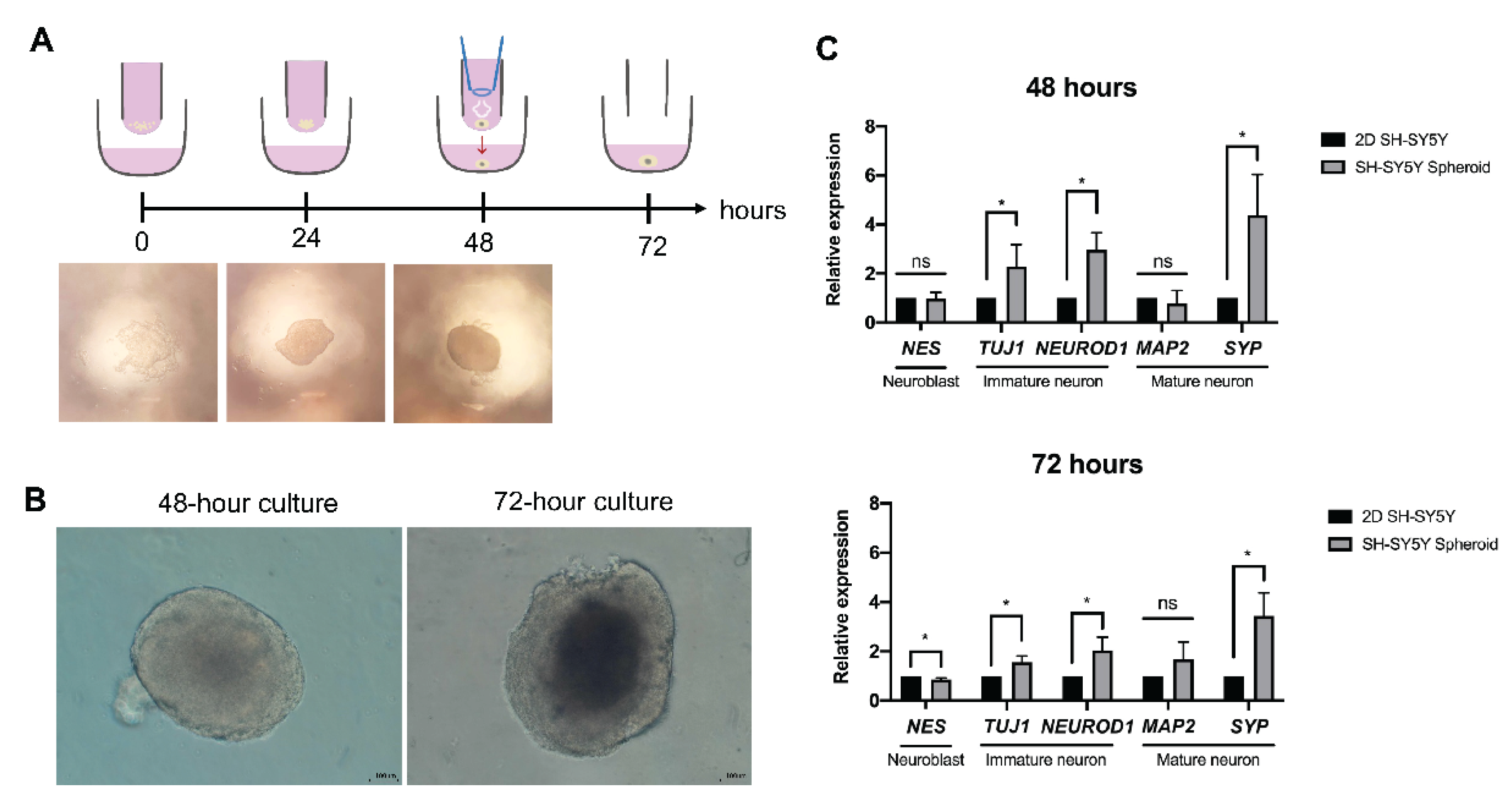 Bioengineering 09 00330 g001