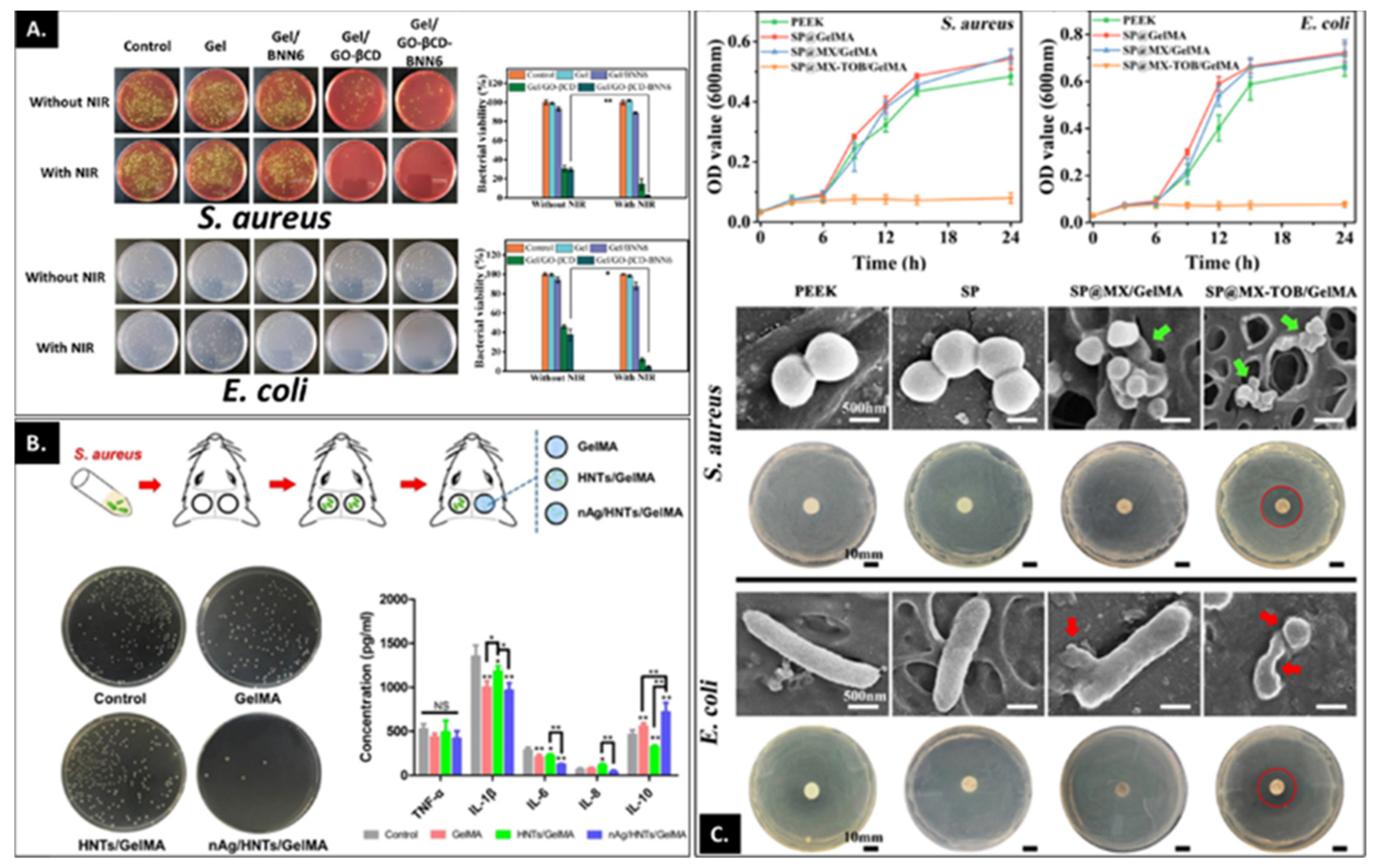 Bioengineering 09 00332 g004