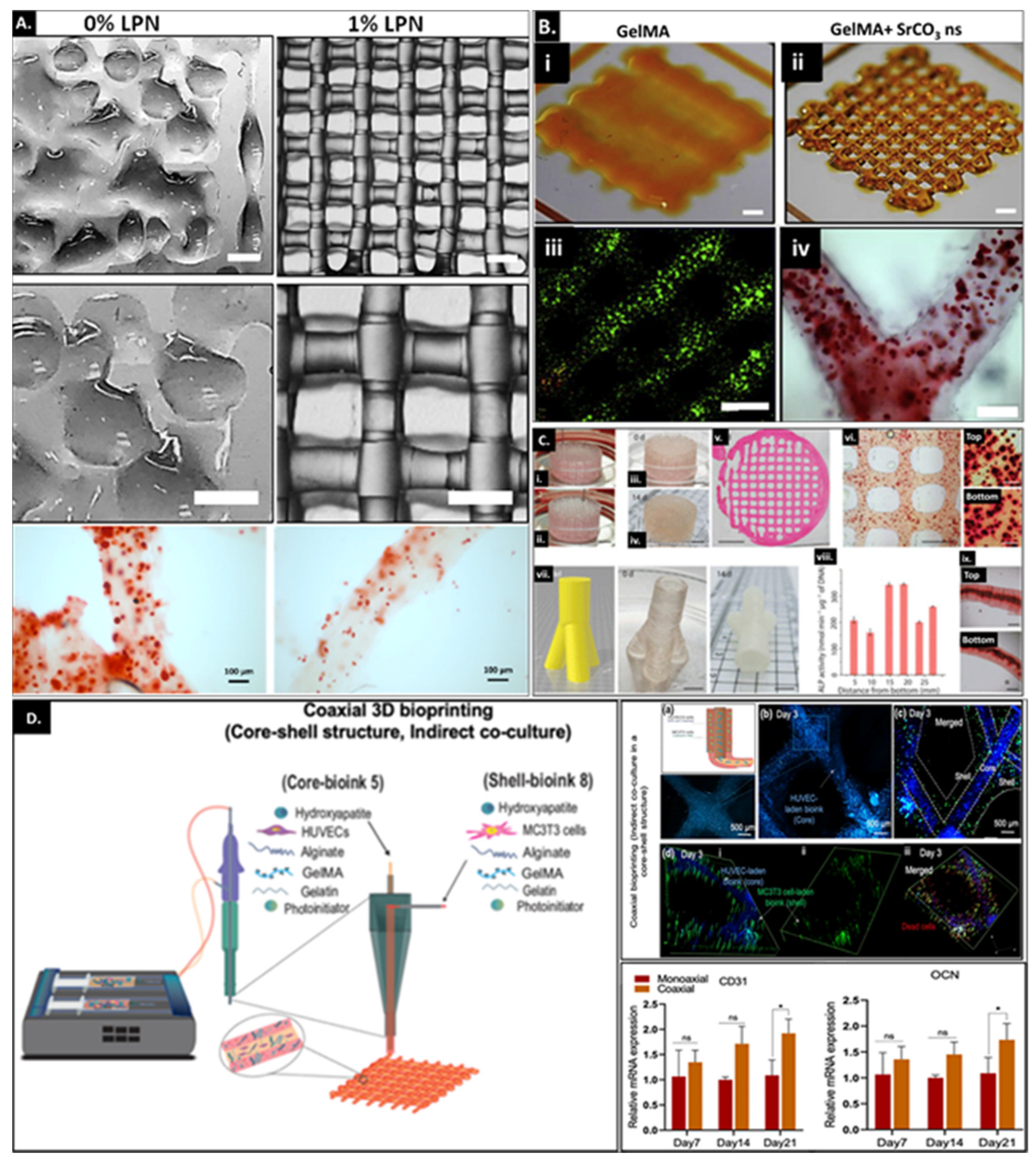 Bioengineering 09 00332 g006