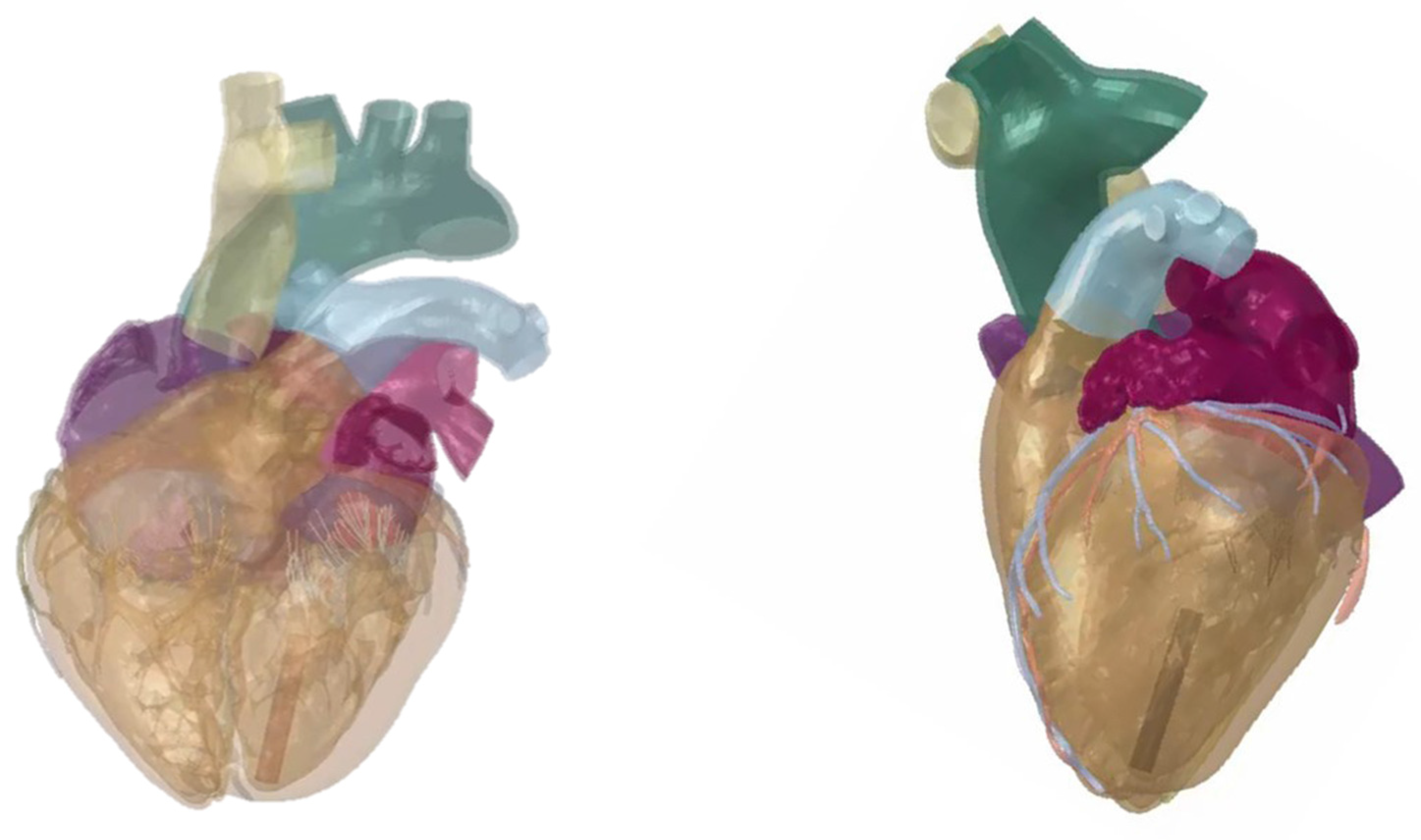 Bioengineering 09 00334 g001