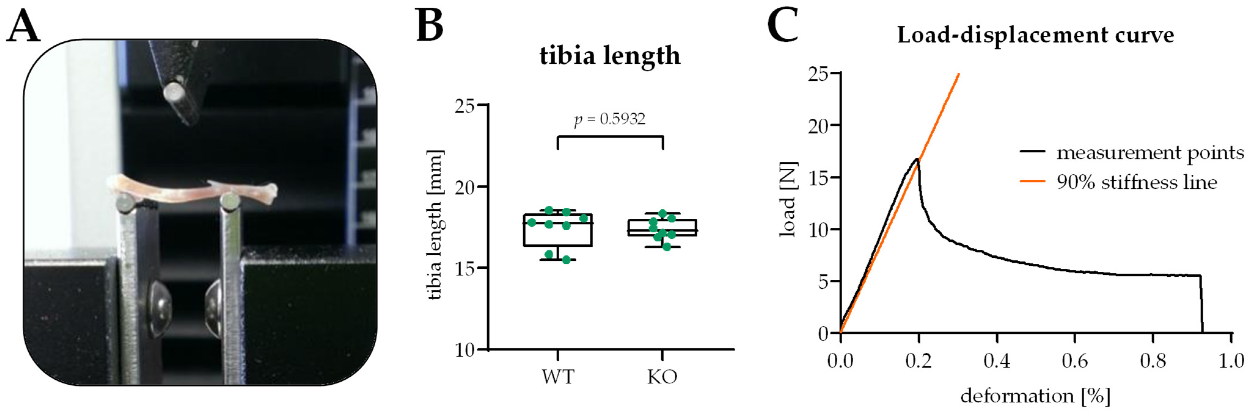 Bioengineering 09 00337 g001 550