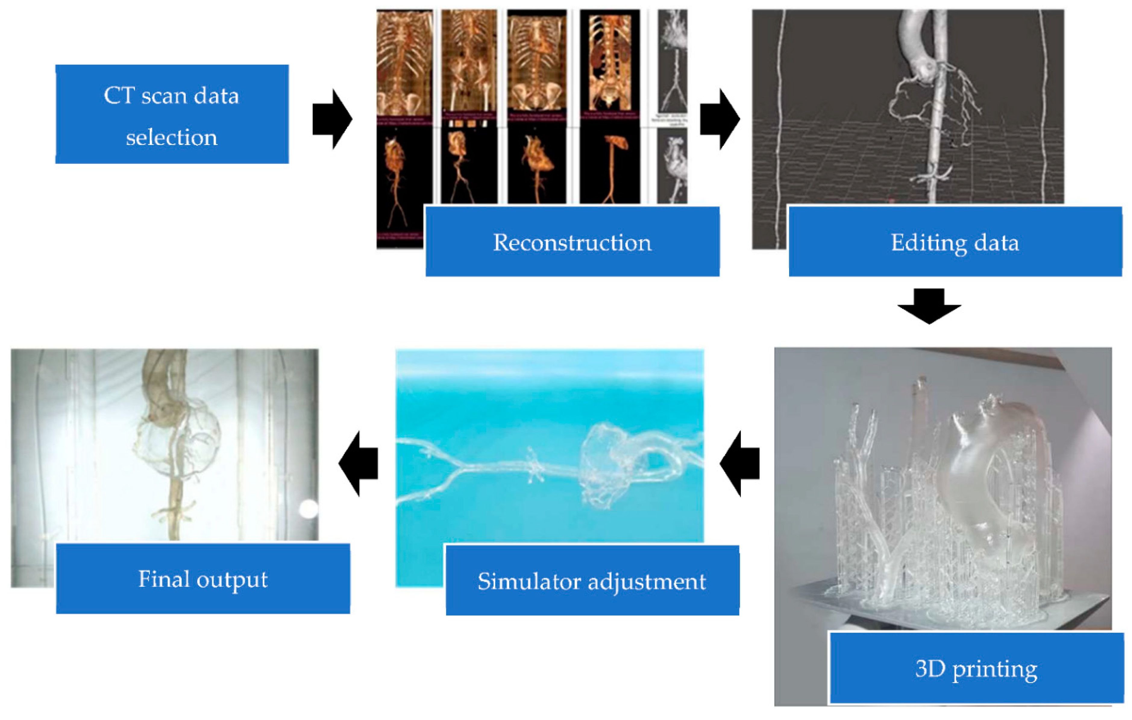 Bioengineering 09 00338 g001