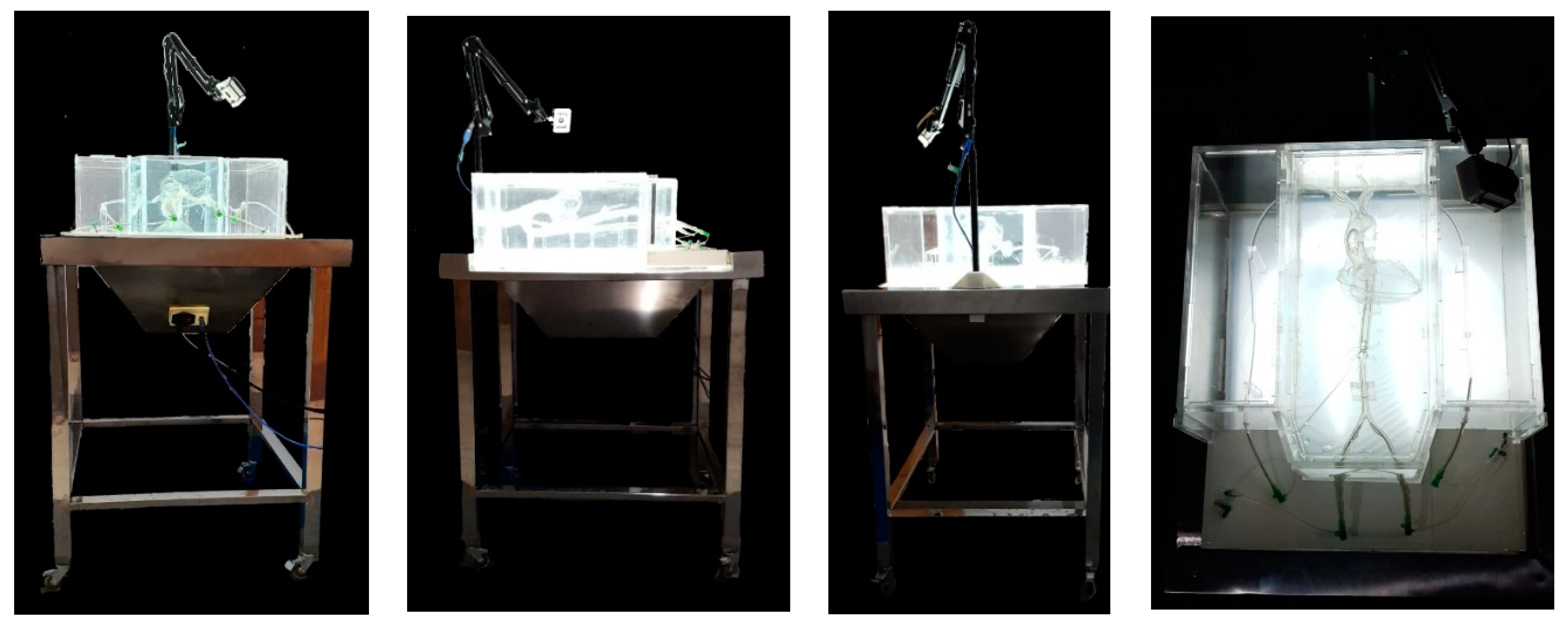 Bioengineering 09 00338 g002