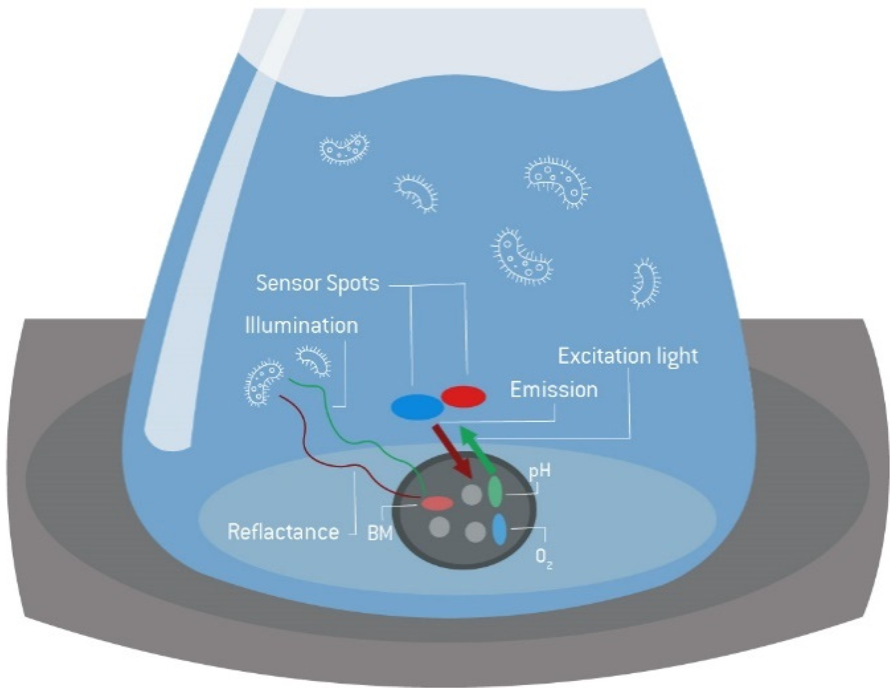 Bioengineering 09 00339 g007 Bioengineering 09 00339 g007