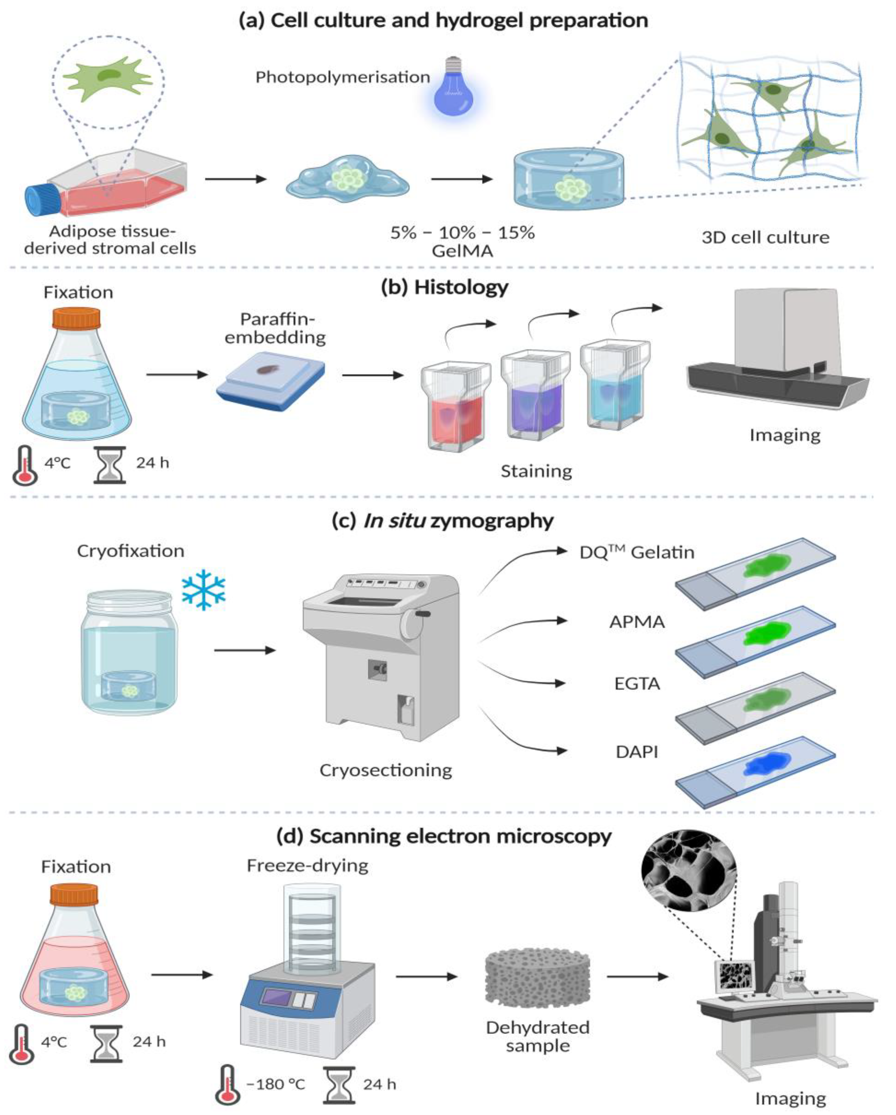 Bioengineering 09 00340 g001 550