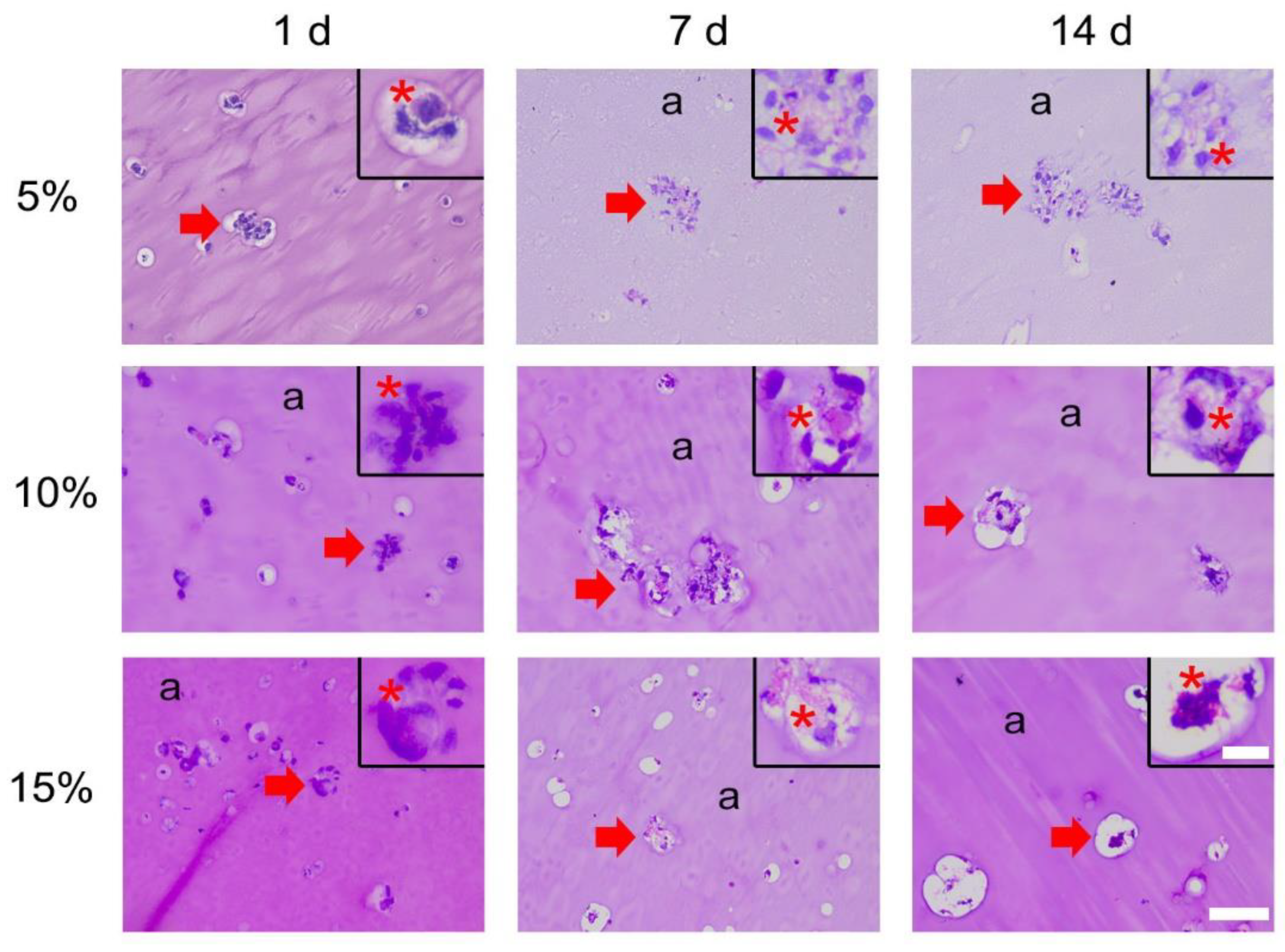 Bioengineering 09 00340 g002 550