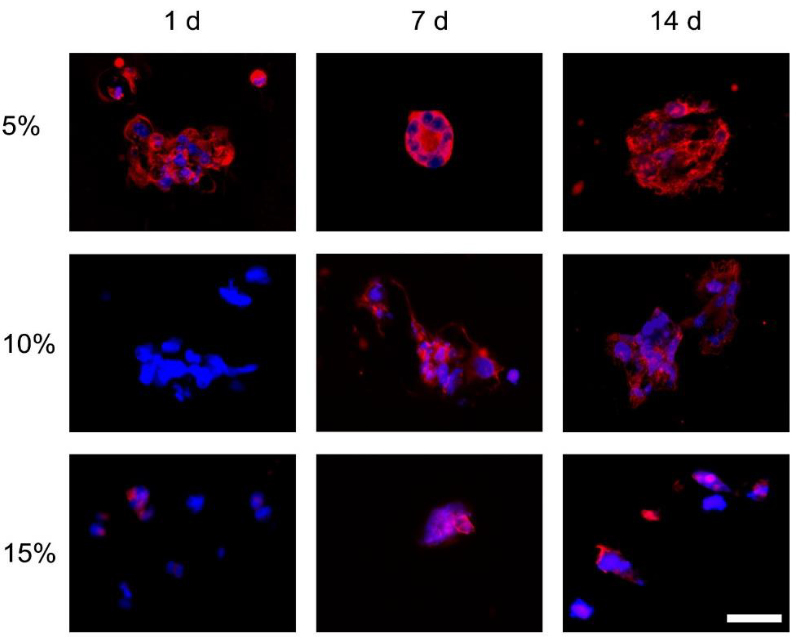 Bioengineering 09 00340 g003 550