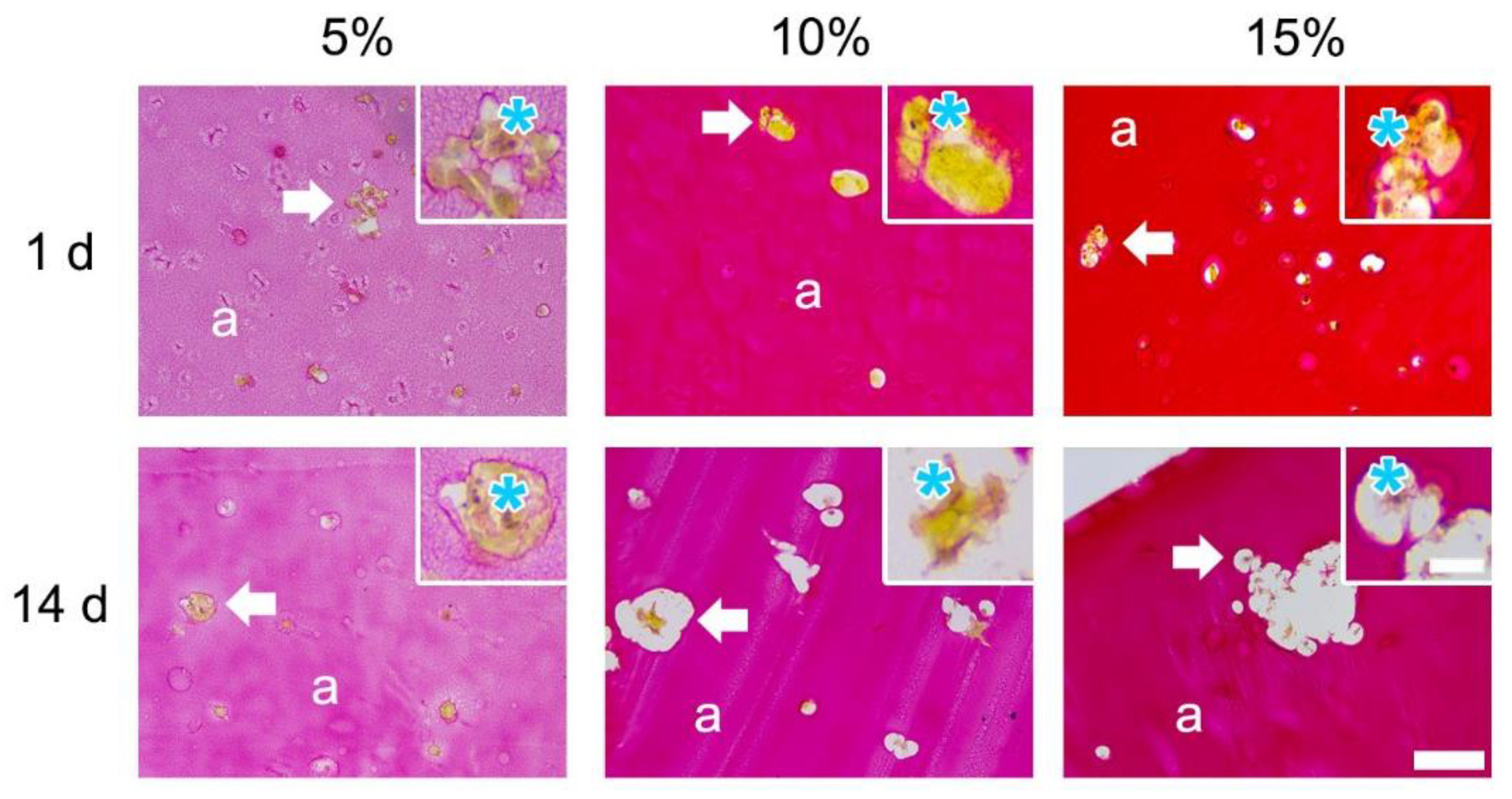 Bioengineering 09 00340 g004 550