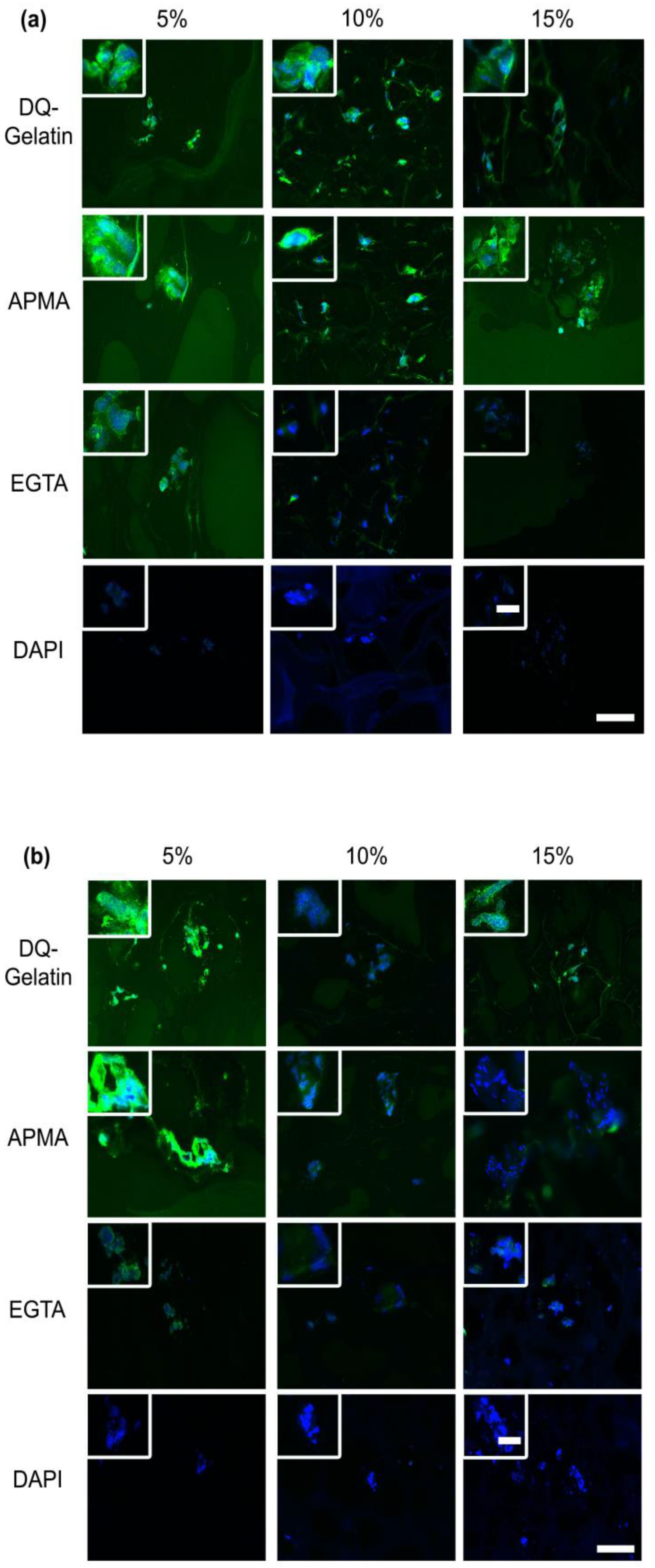Bioengineering 09 00340 g005 550