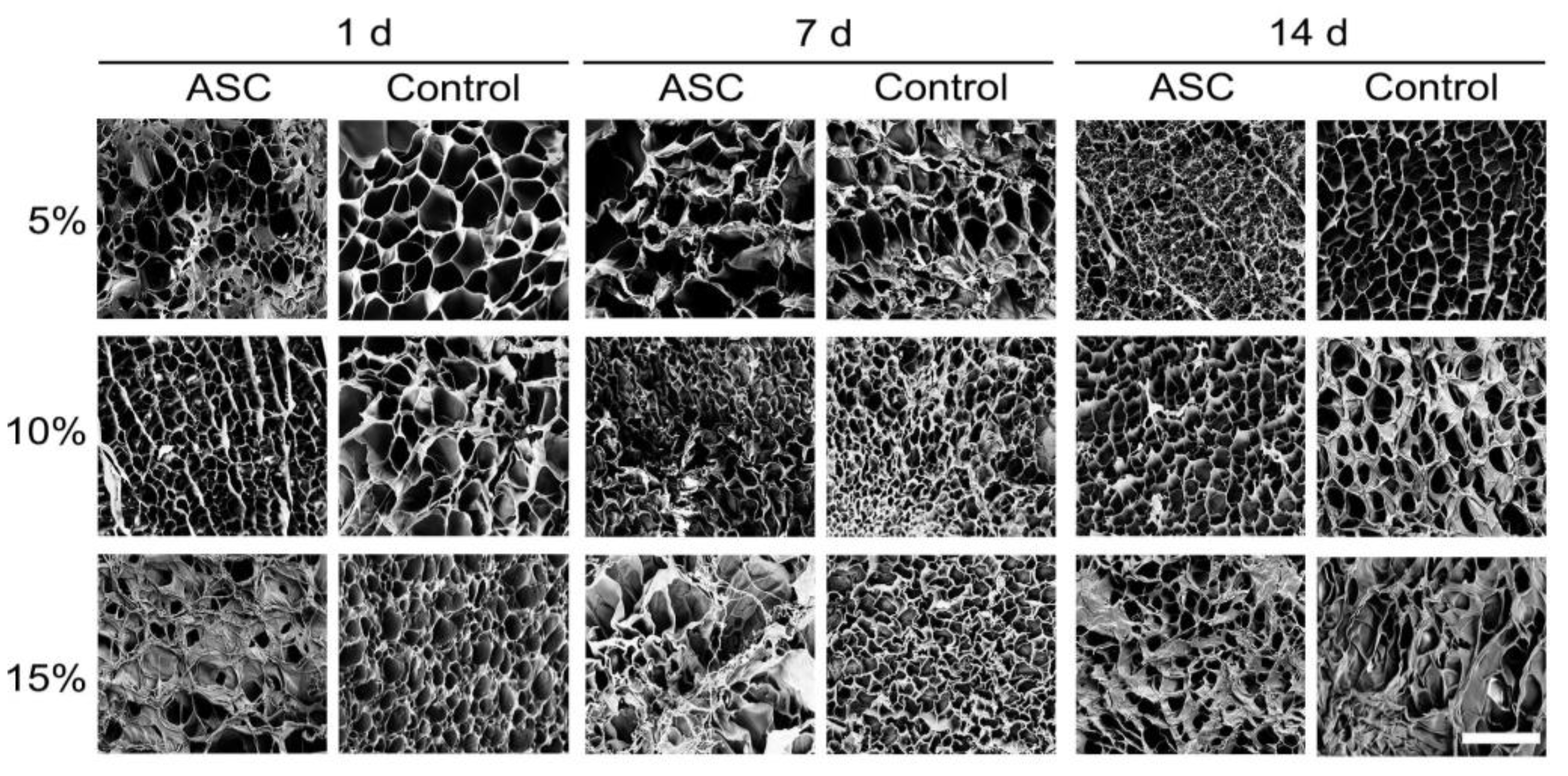 Bioengineering 09 00340 g007 550