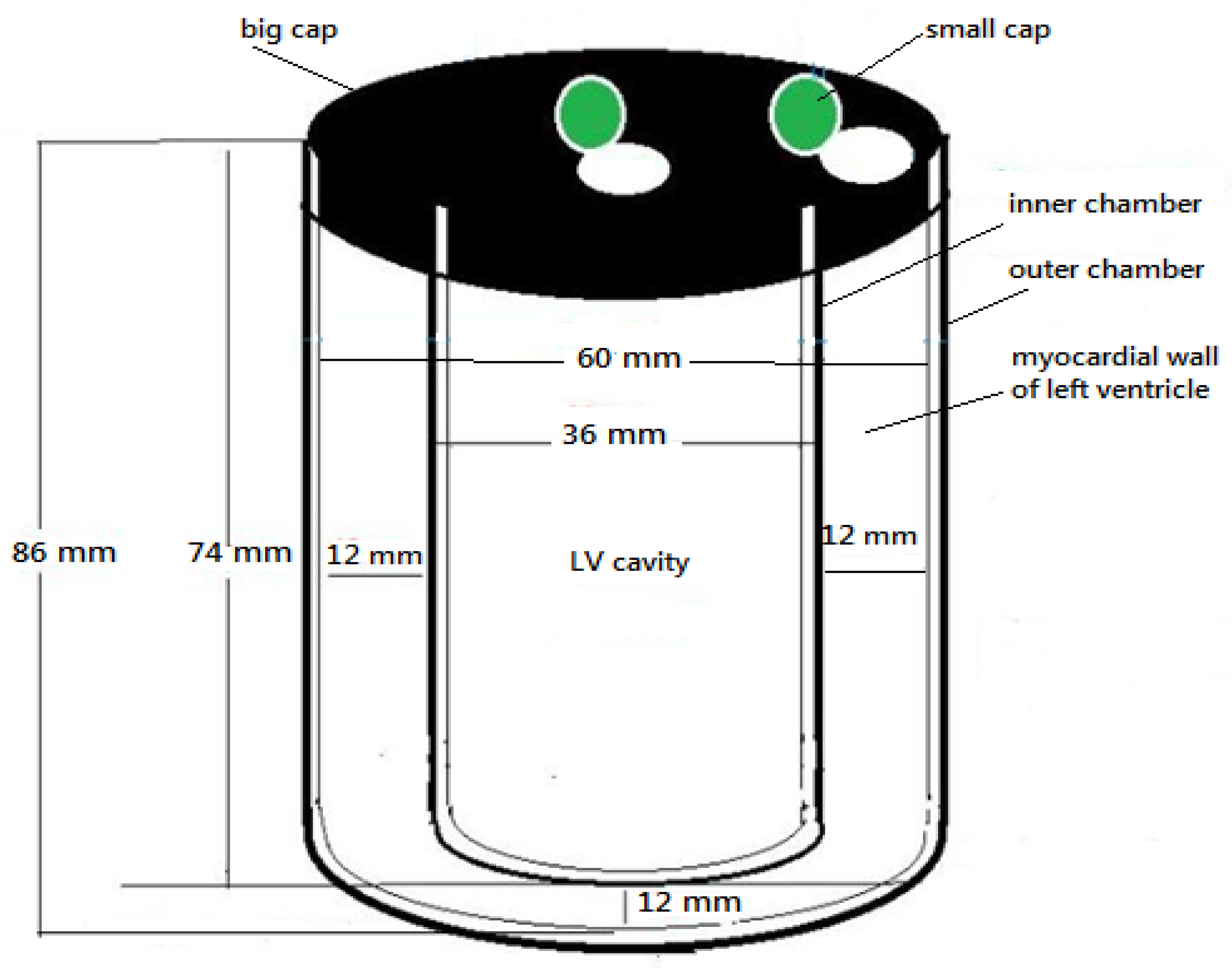 Bioengineering 09 00341 g001