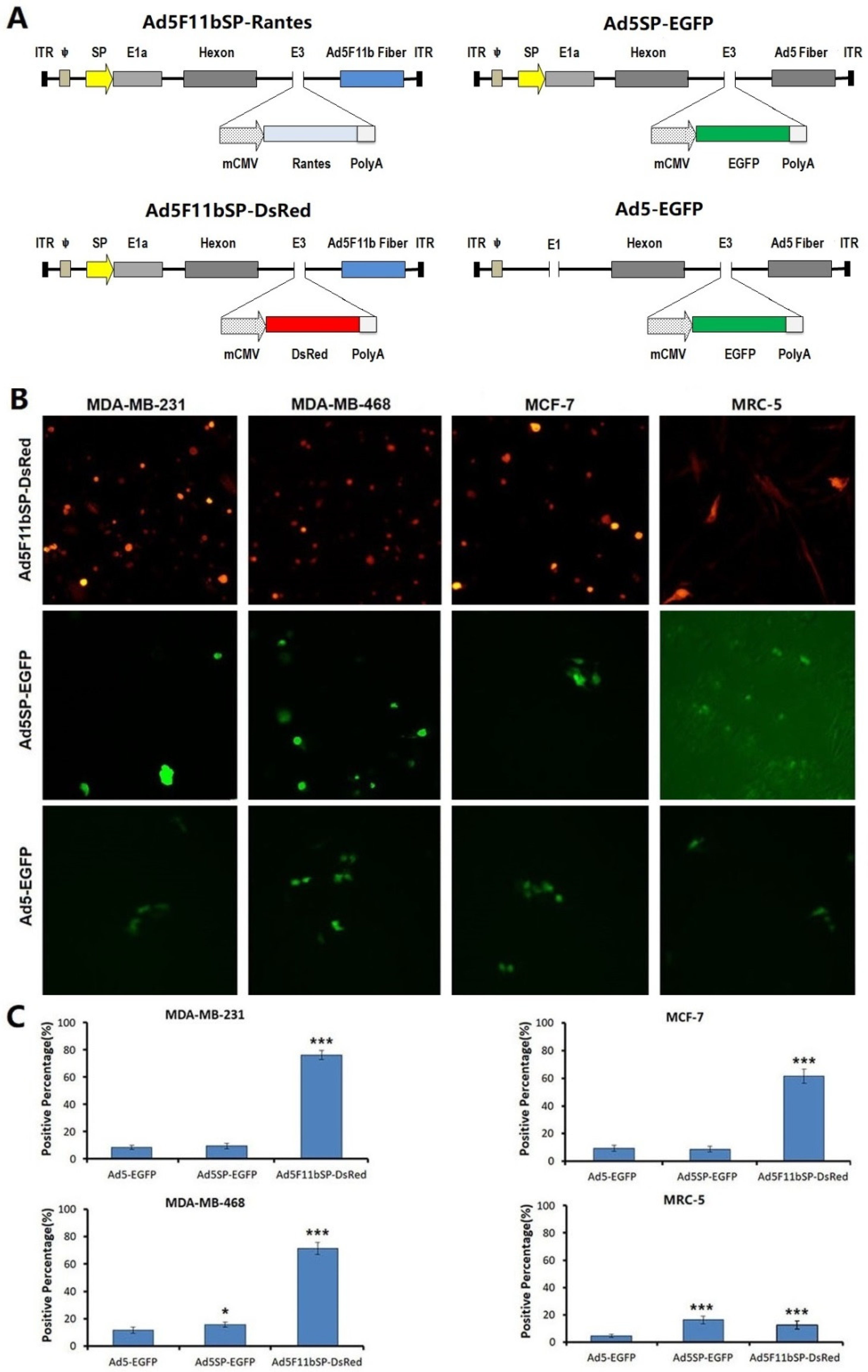 Bioengineering 09 00342 g001 550