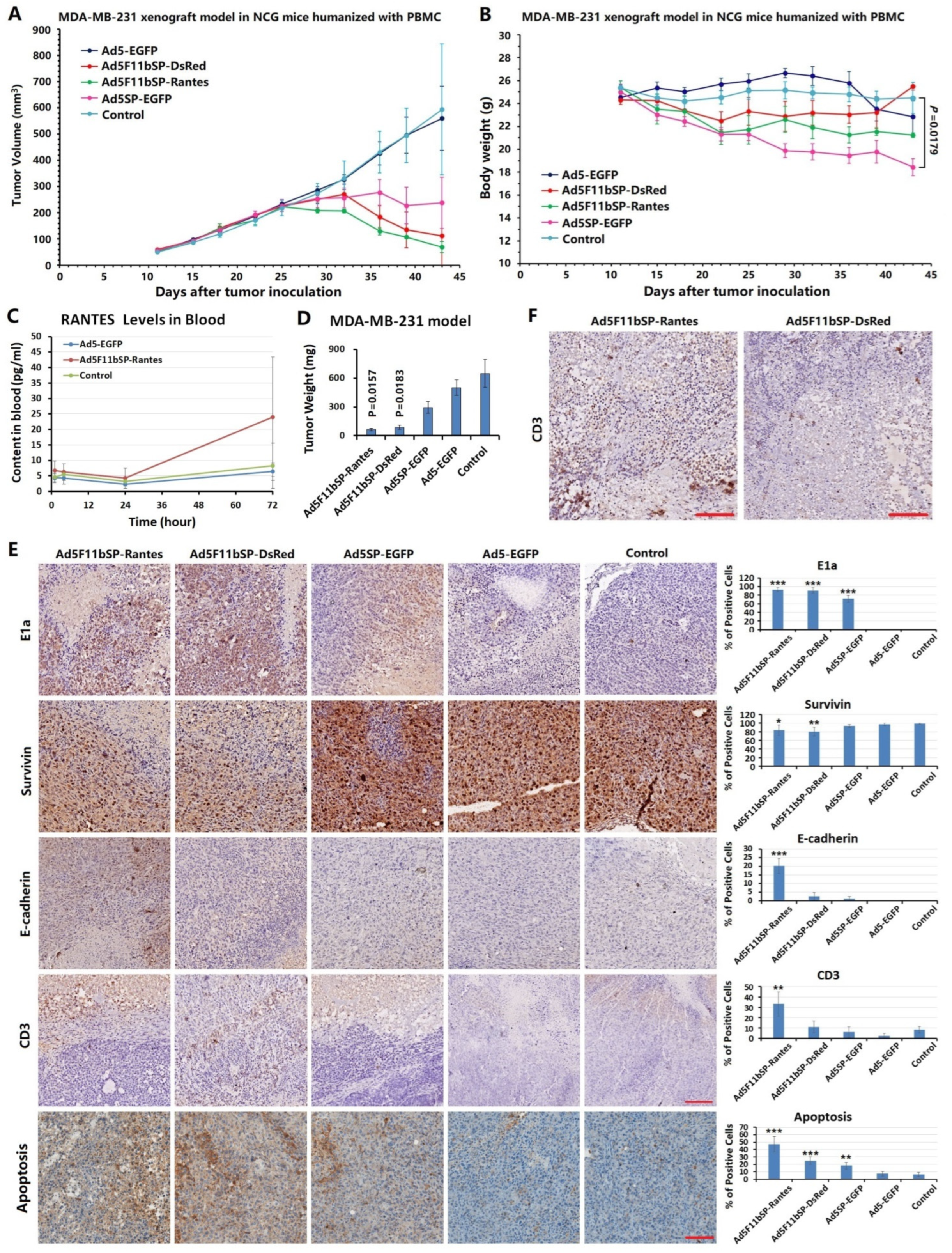 Bioengineering 09 00342 g004 550