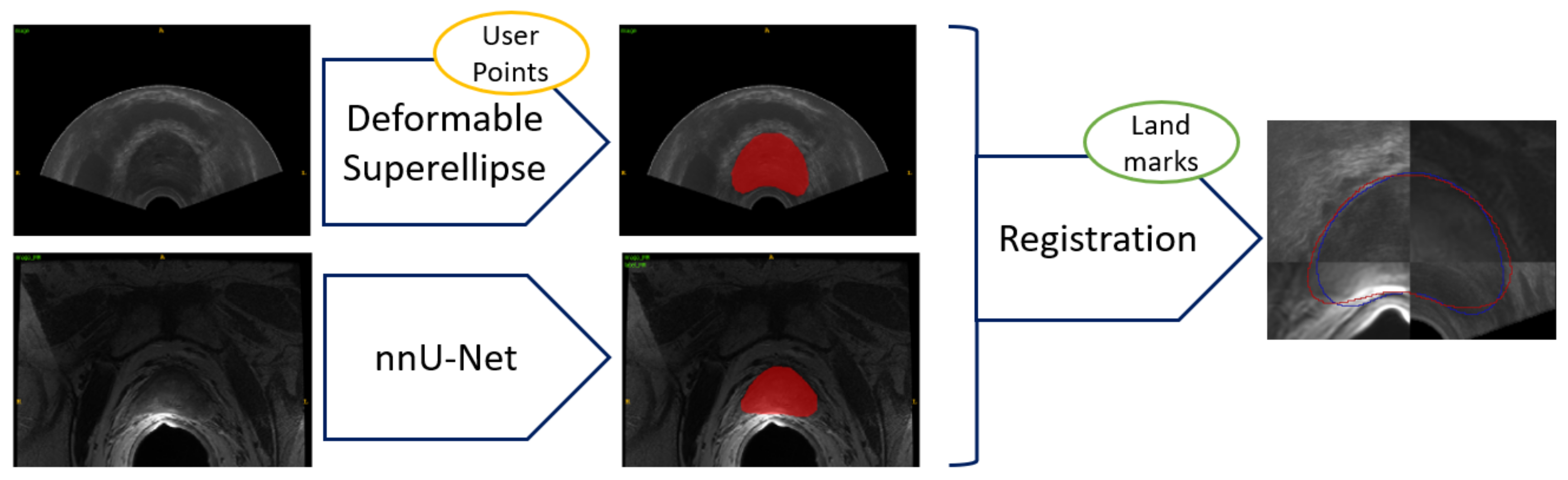 Bioengineering 09 00343 g003