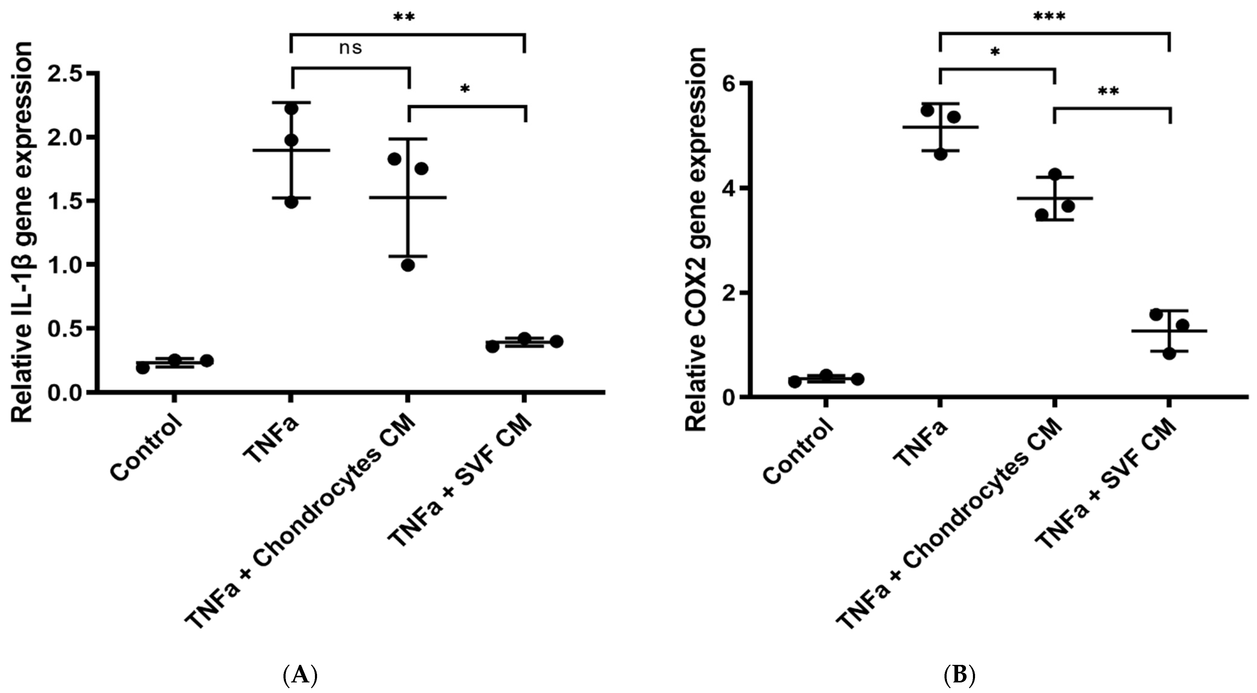 Bioengineering 09 00345 g006