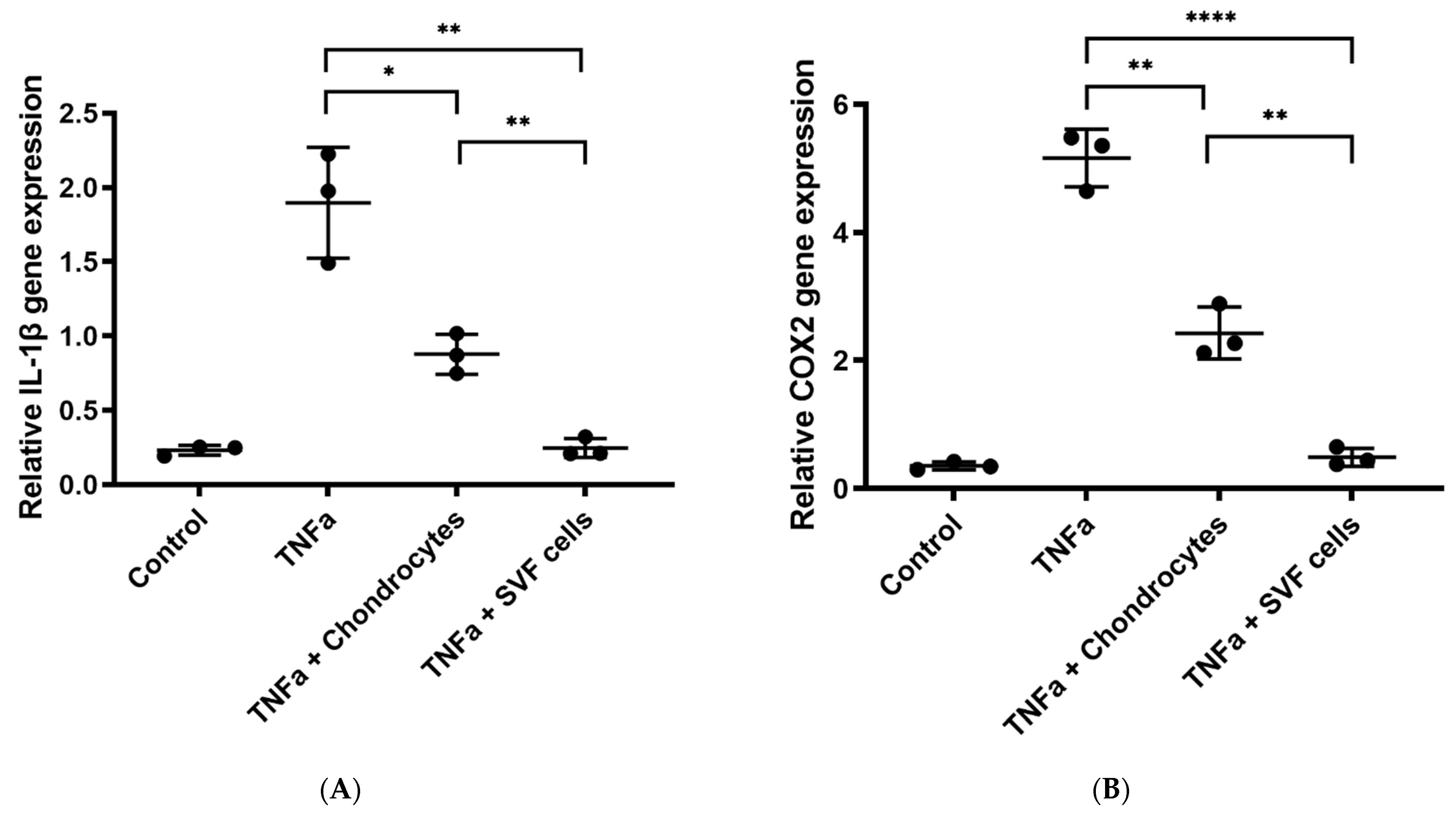 Bioengineering 09 00345 g007