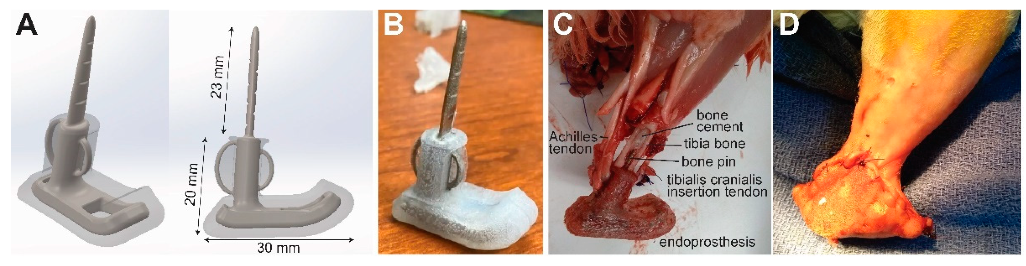 Bioengineering 09 00348 g001 550